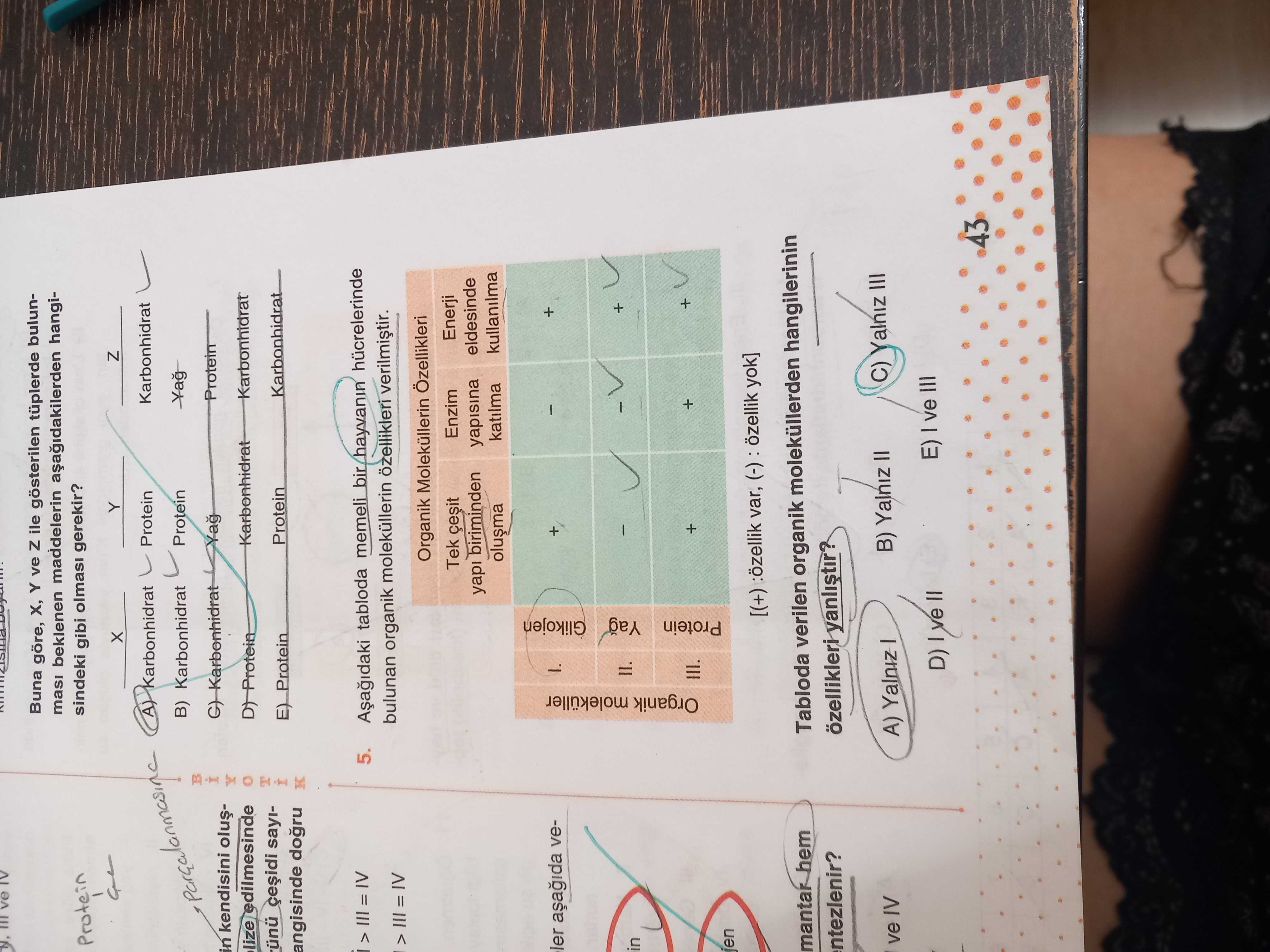 Aşağıdaki tabloda memeli bir hayvanın hücrelerinde bulunan organik moleküllerin özellikleri