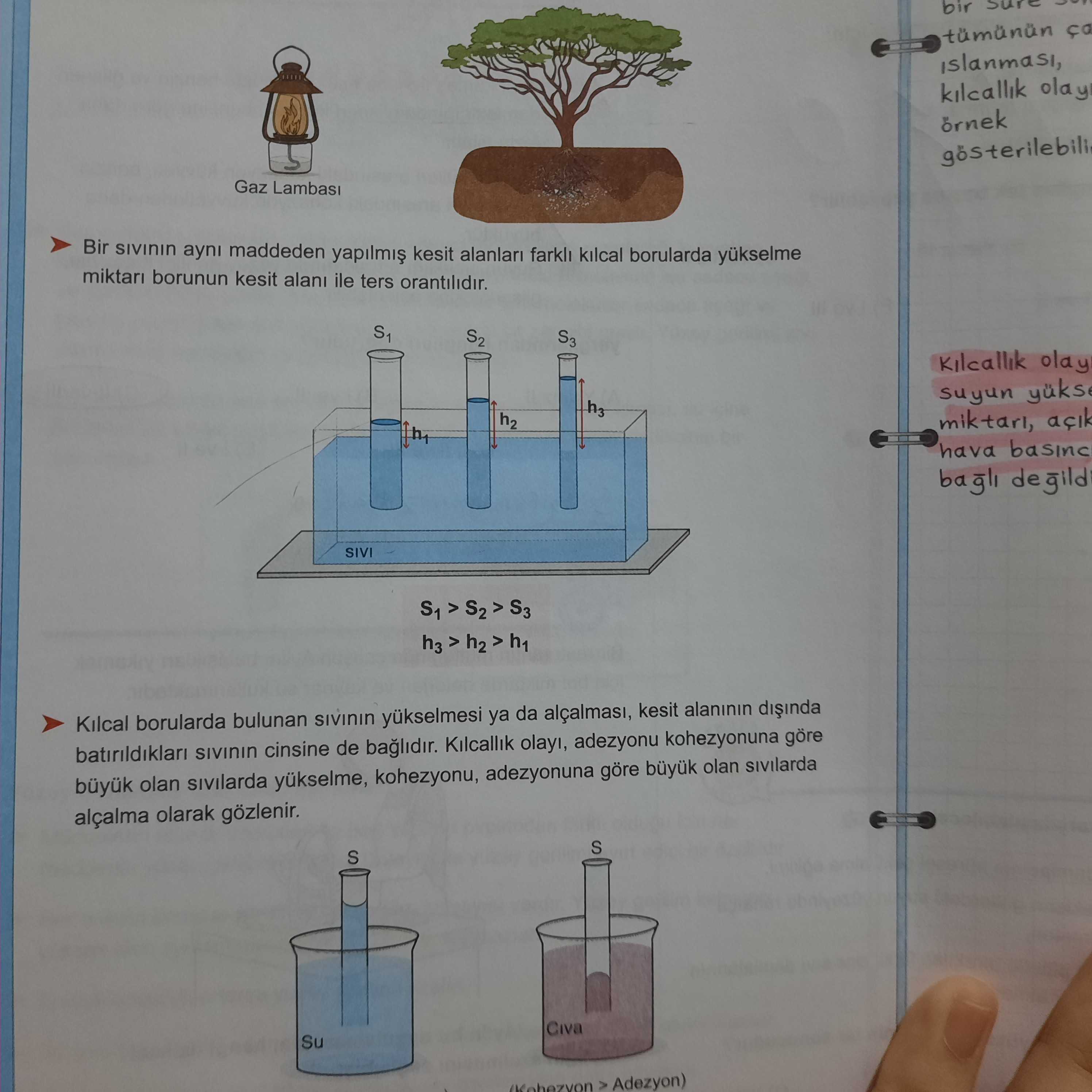 Bir sıvının aynı maddeden yapılmış kesit alanları farklı kılcal borularda yükselme miktarı borunun