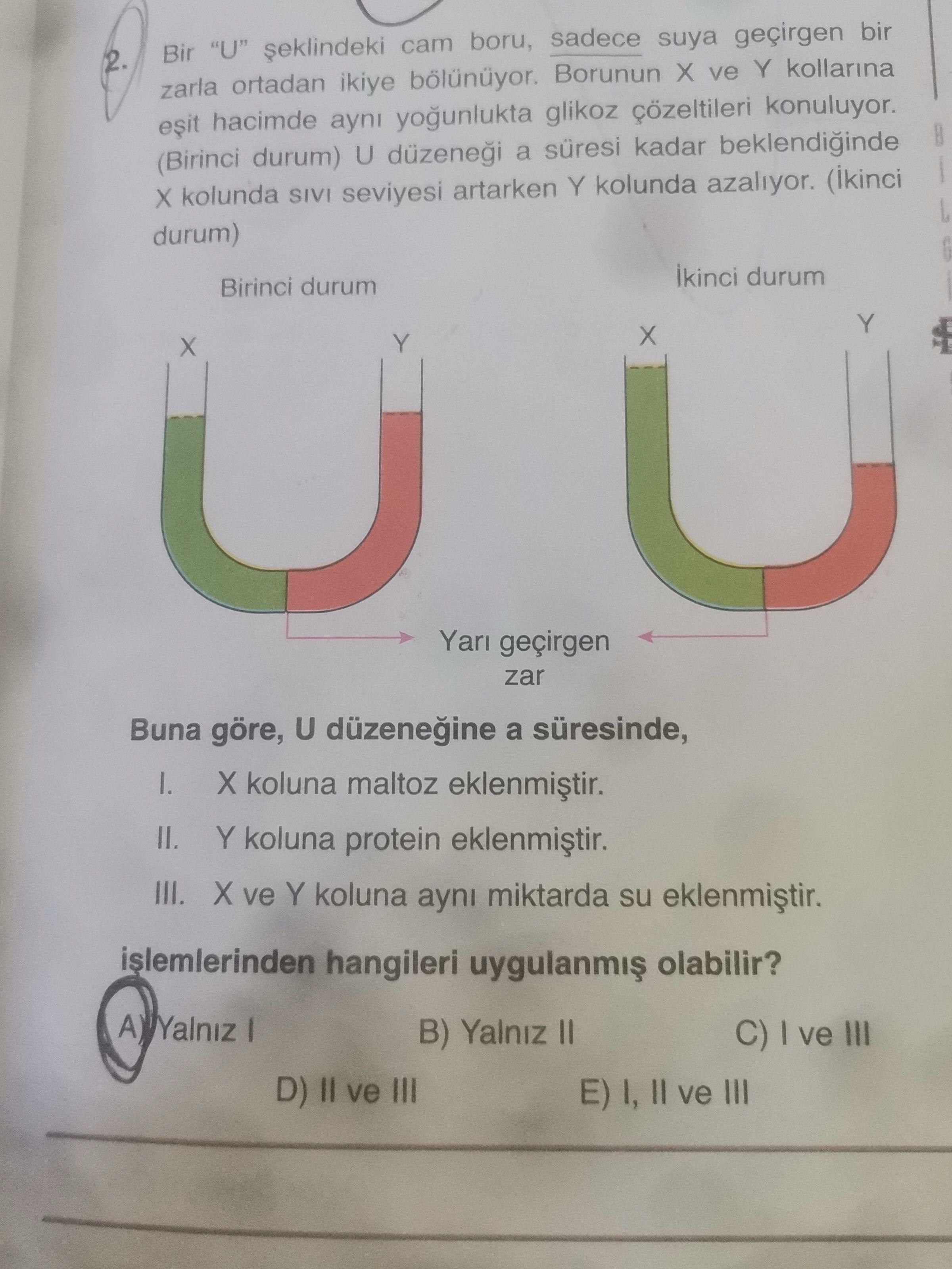 Bir "U" şeklindeki cam boru, sadece suya geçirgen bir zarla ortadan ikiye bölünüyor. Borunun X ve Y