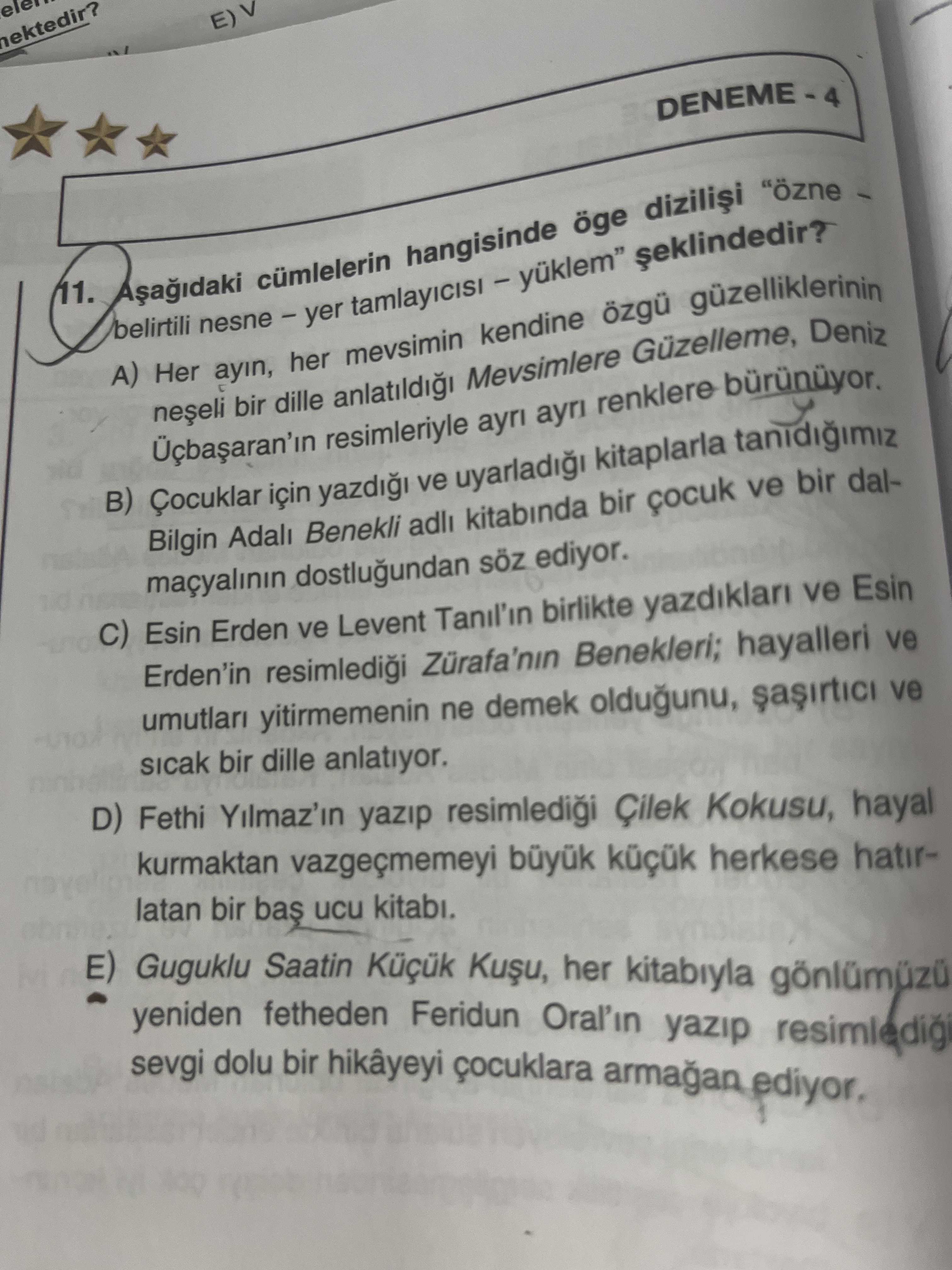 Türkçe (Mezun)