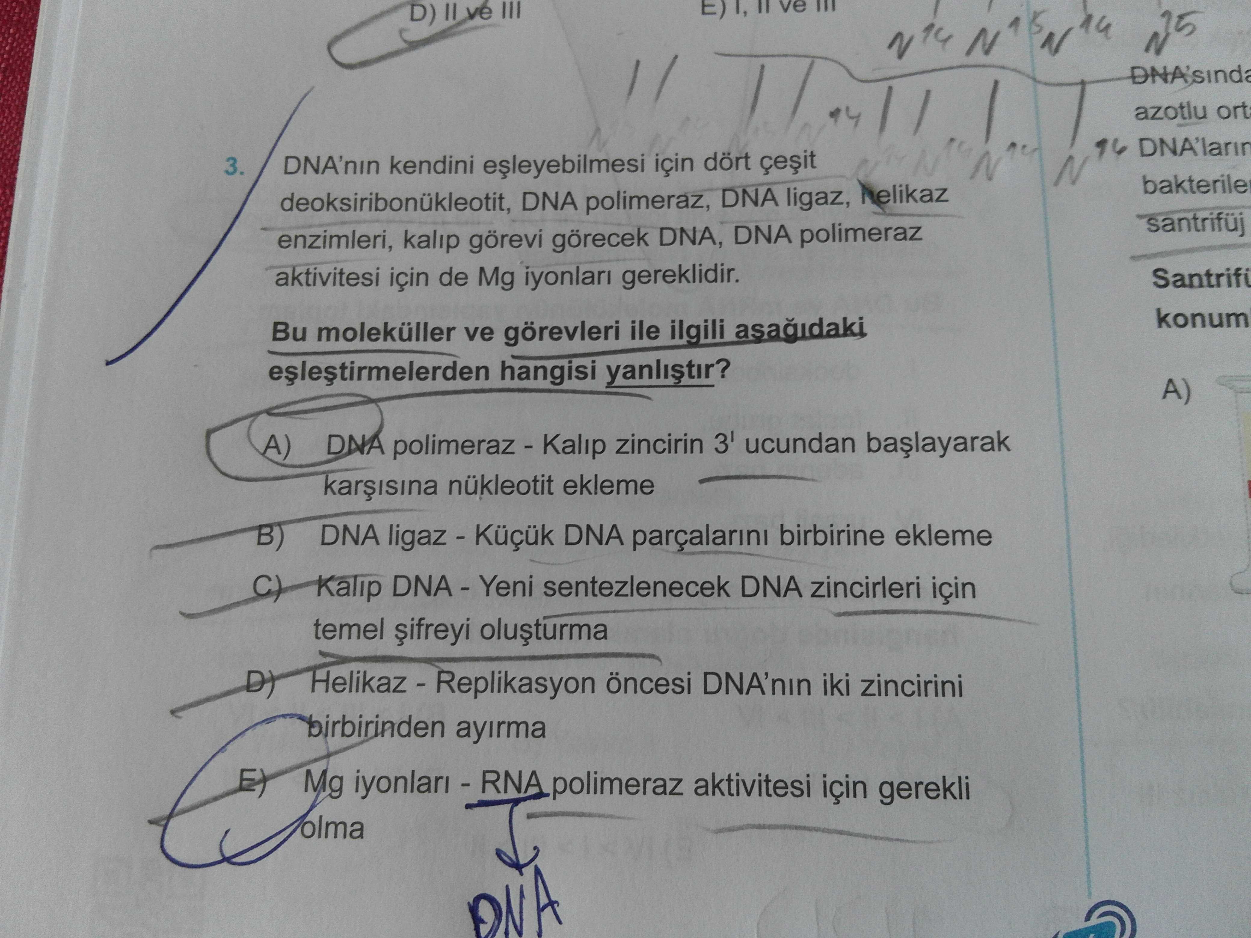 DNA'nın kendini eşleyebilmesi için dört çeşit deoksiribonükleotit, DNA polimeraz, DNA ligaz, helikaz