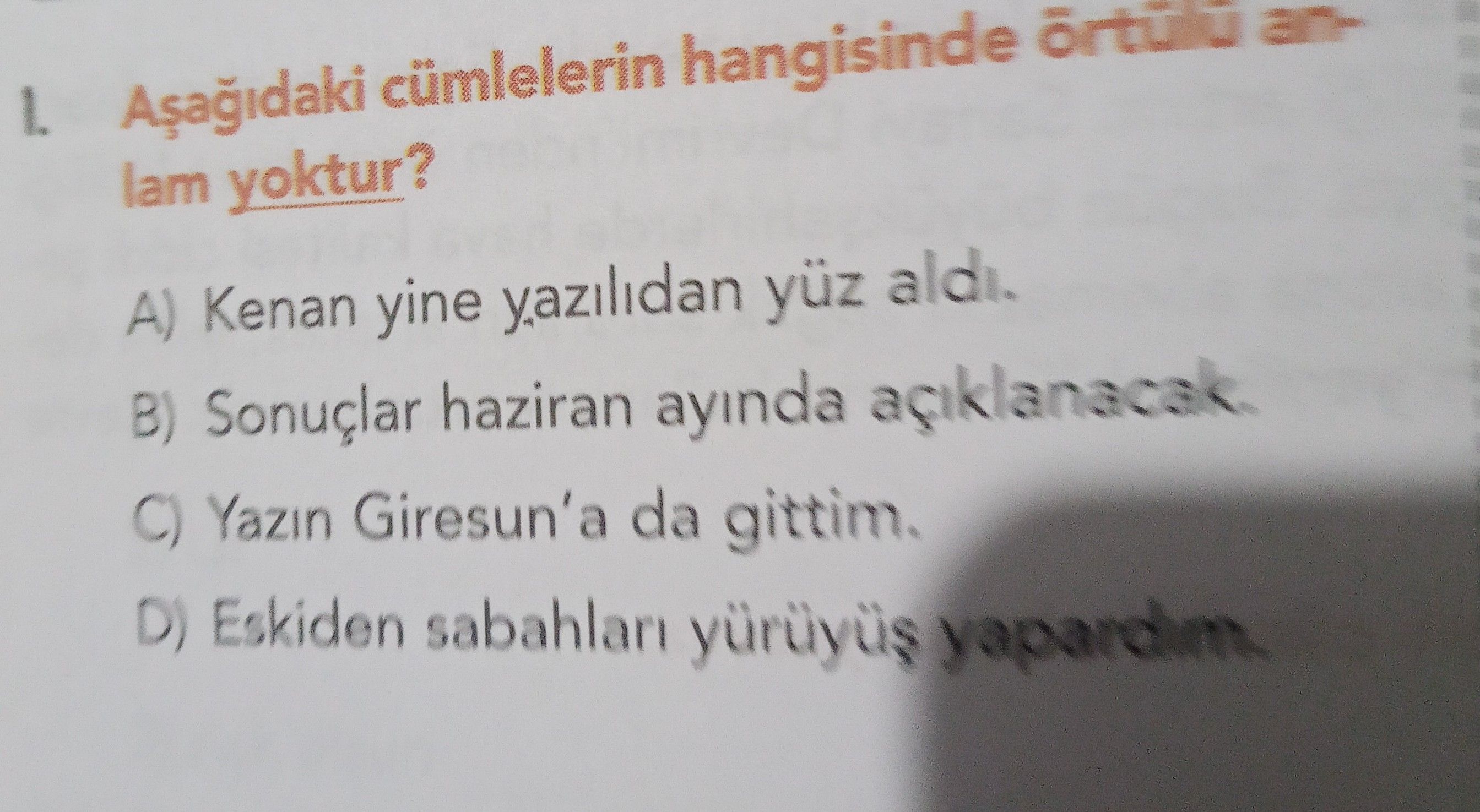 Aşağıdaki cümlelerin hangisinde örtülü anlam yoktur?