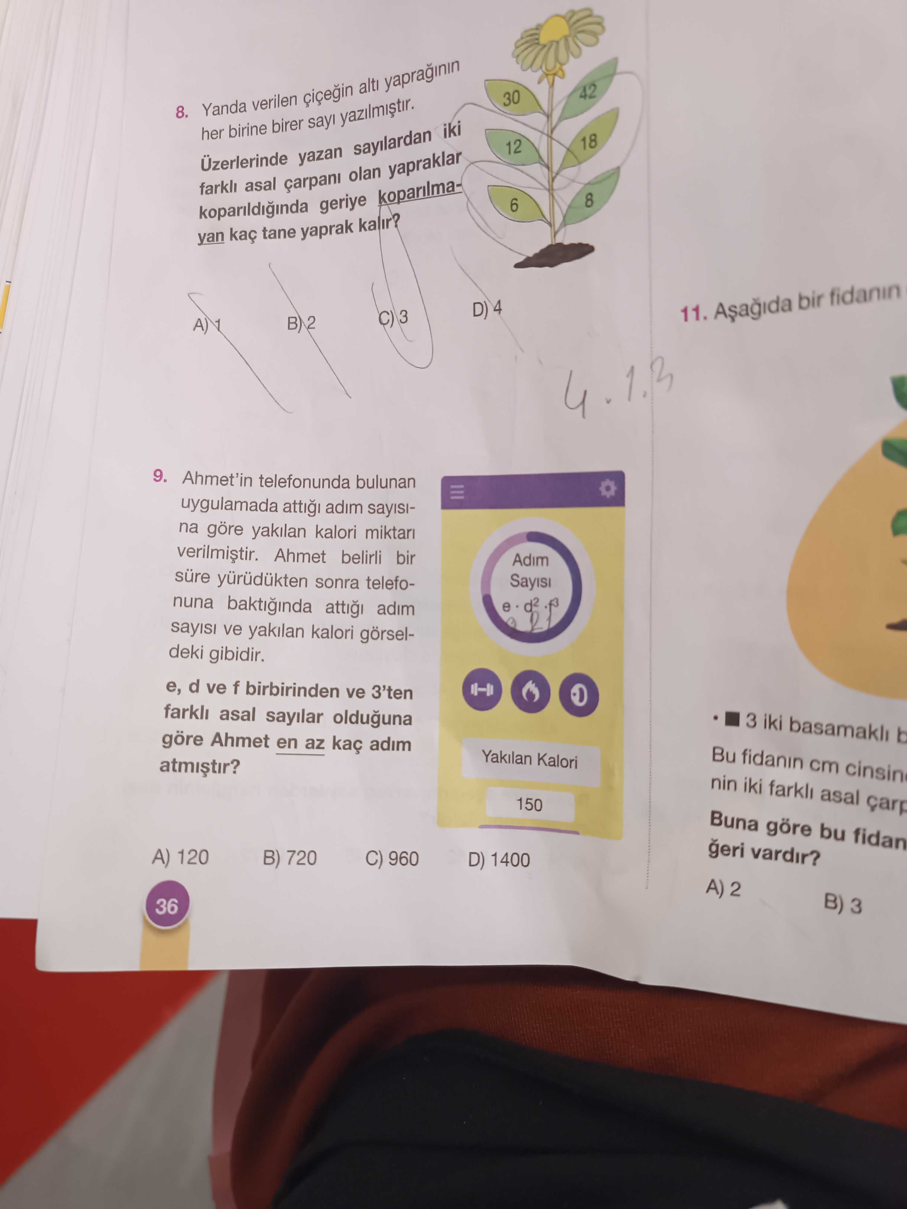 Matematik (8. Sınıf)