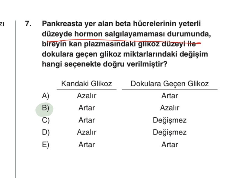 Pankreasta yer alan beta hücrelerinin yeterli düzeyde hormon salgılayamaması durumunda, bireyin kan