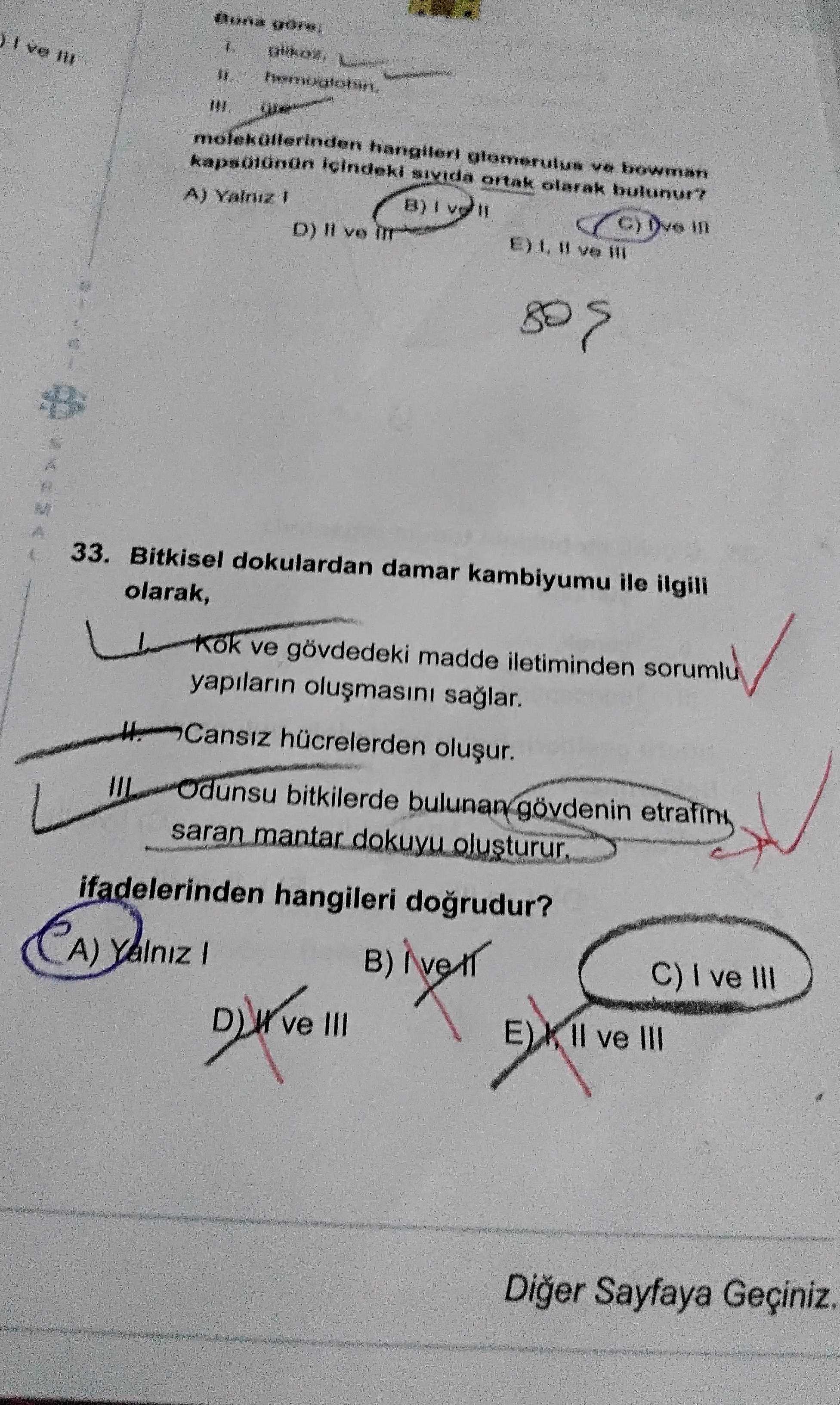 Bitkisel dokulardan damar kambiyumu ile ilgili olarak, I. Kök ve gövdedeki madde iletiminden sorumlu