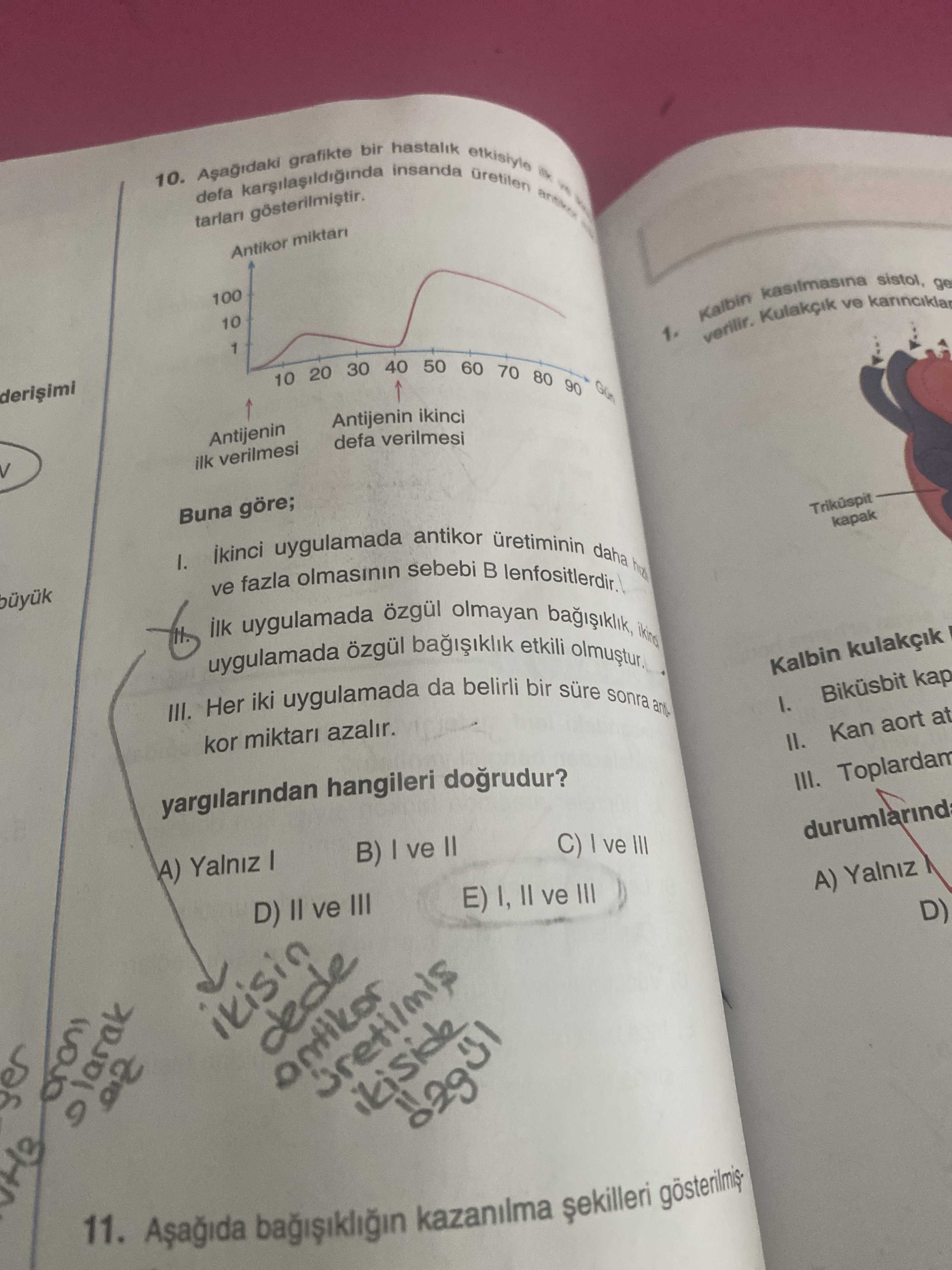 Aşağıdaki grafikte bir hastalık etkisiyle ilk ve ikinci defa karşılaşıldığında insanda üretilen
