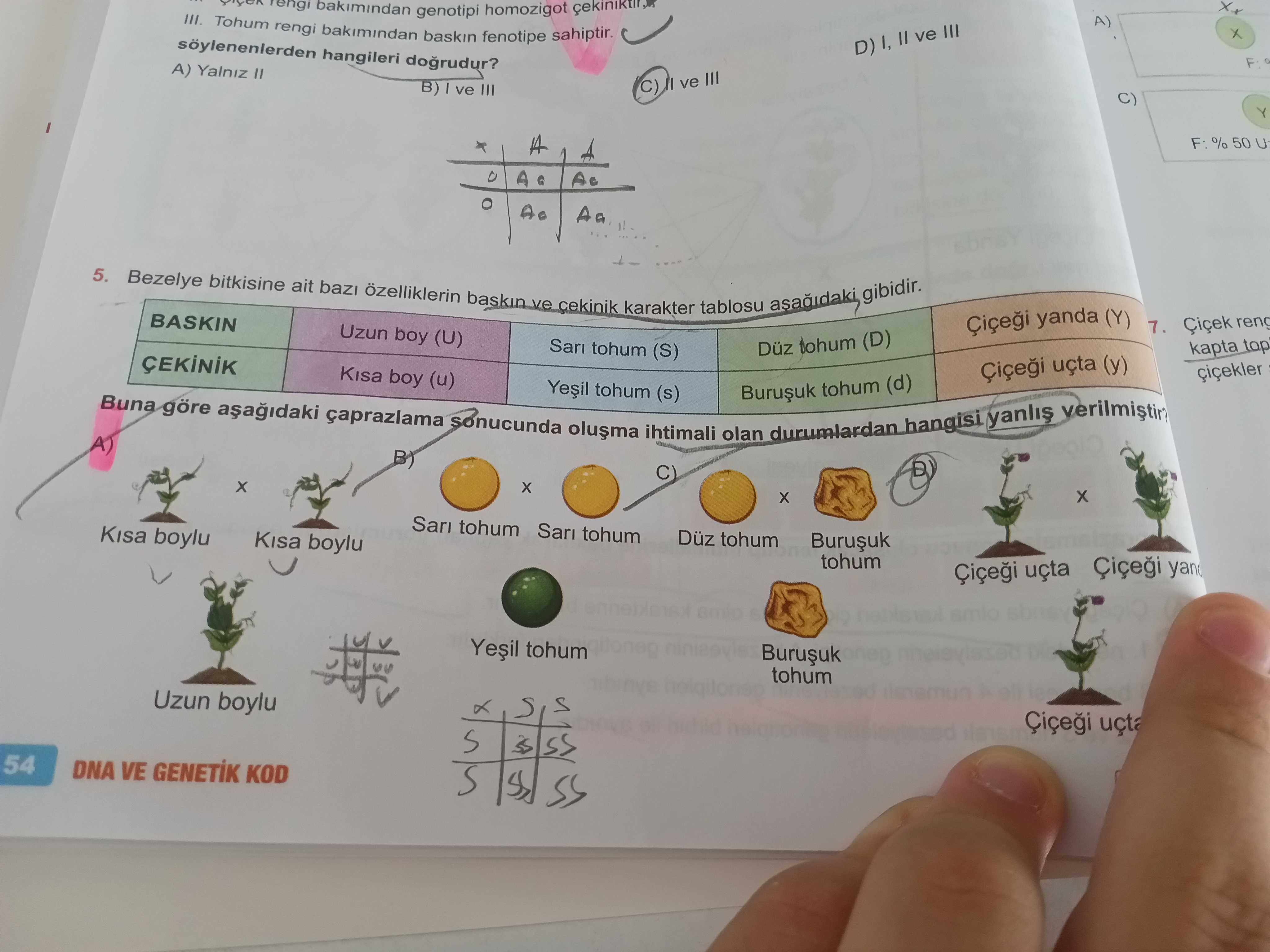 Fen Bilimleri (7. Sınıf)