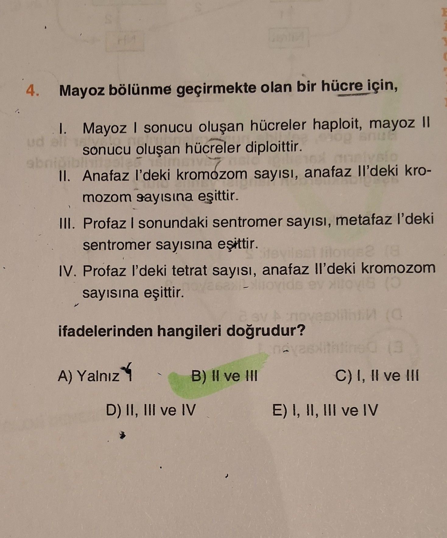 Mayoz bölünme geçirmekte olan bir hücre için, I. Mayoz I sonucu oluşan hücreler haploit, mayoz II