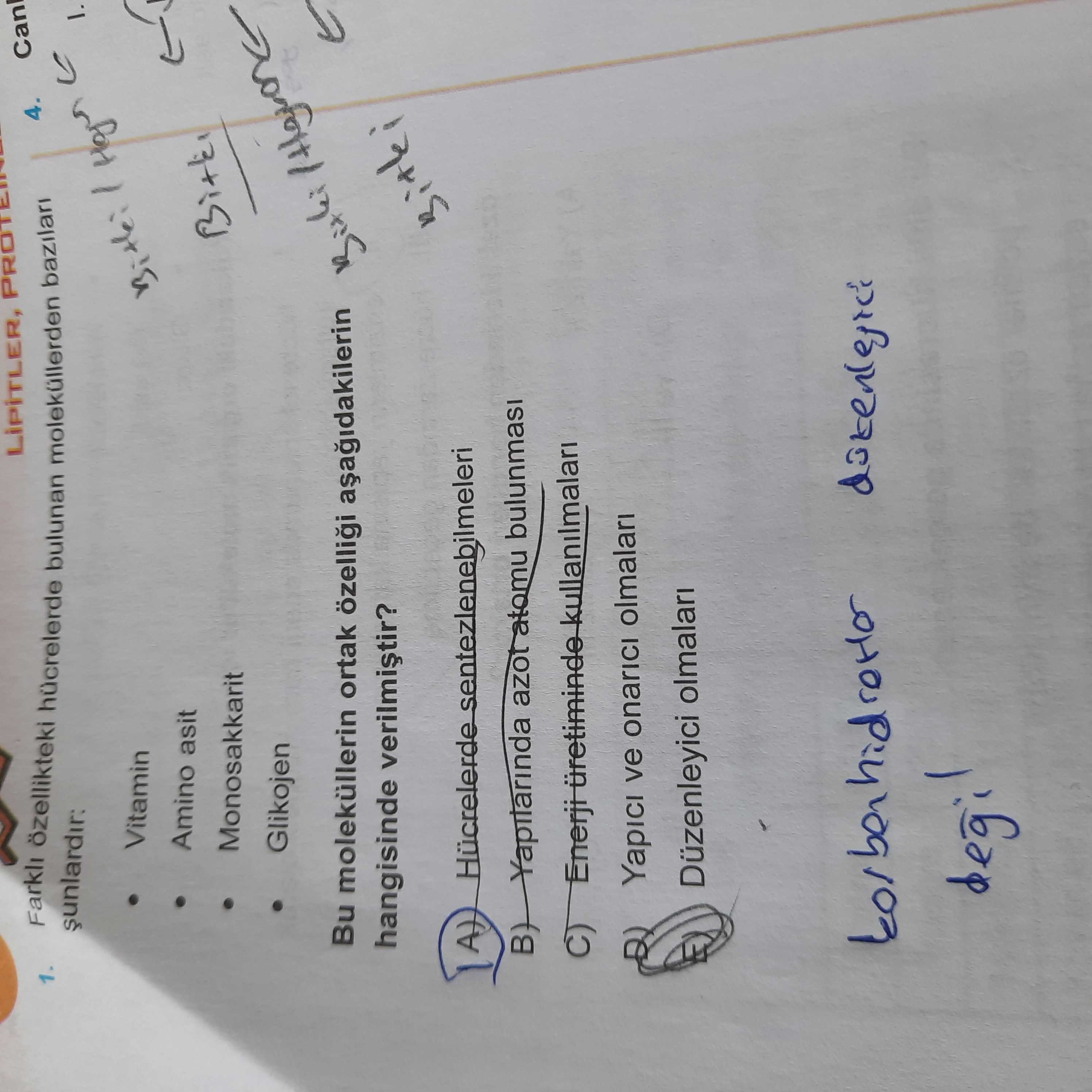 Farklı özellikteki hücrelerde bulunan moleküllerden bazıları şunlardır: • Vitamin • Amino asit •