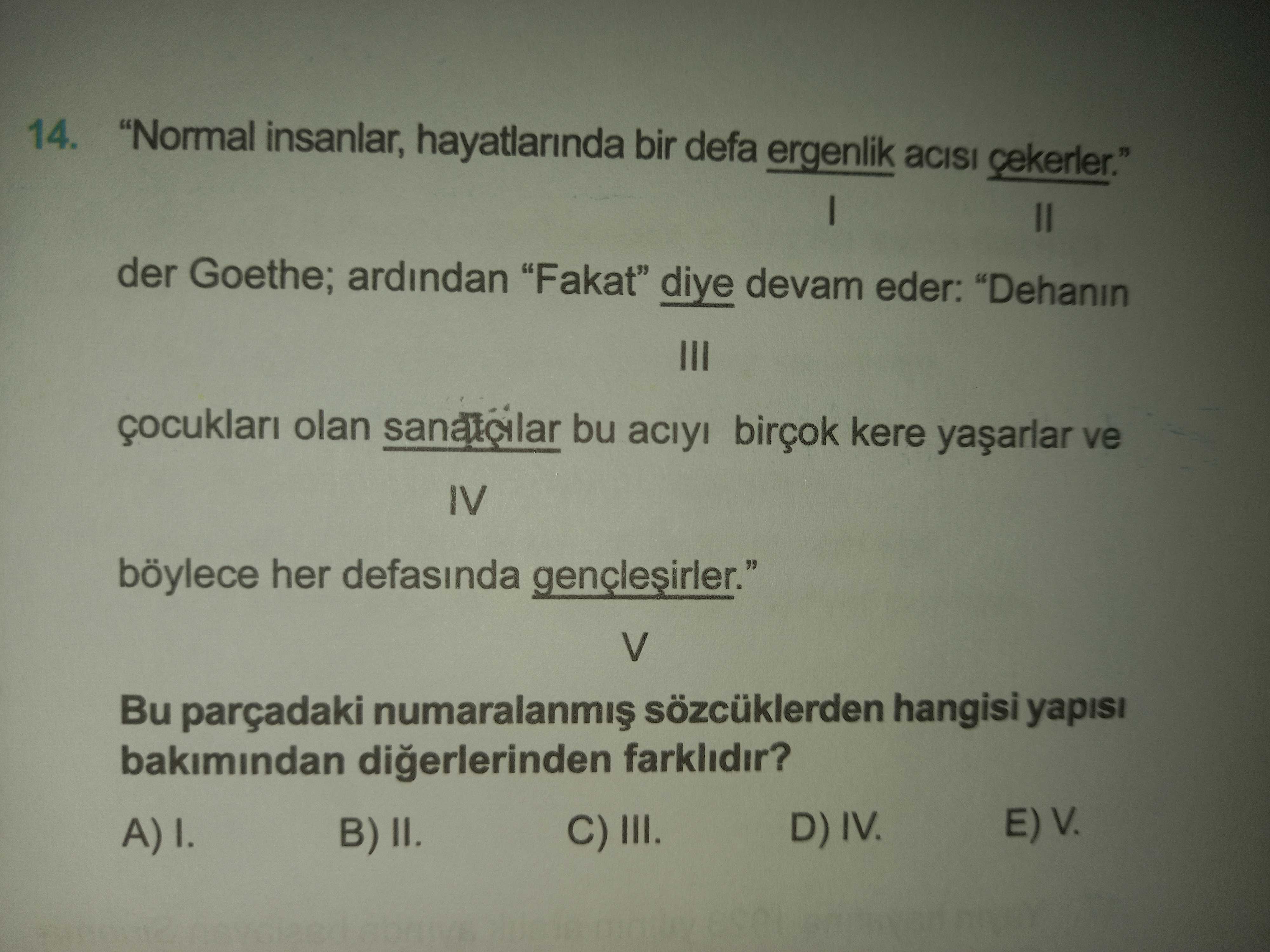"Normal insanlar, hayatlarında bir defa ergenlik acısı çekerler." I II der Goethe; ardından "Fakat"