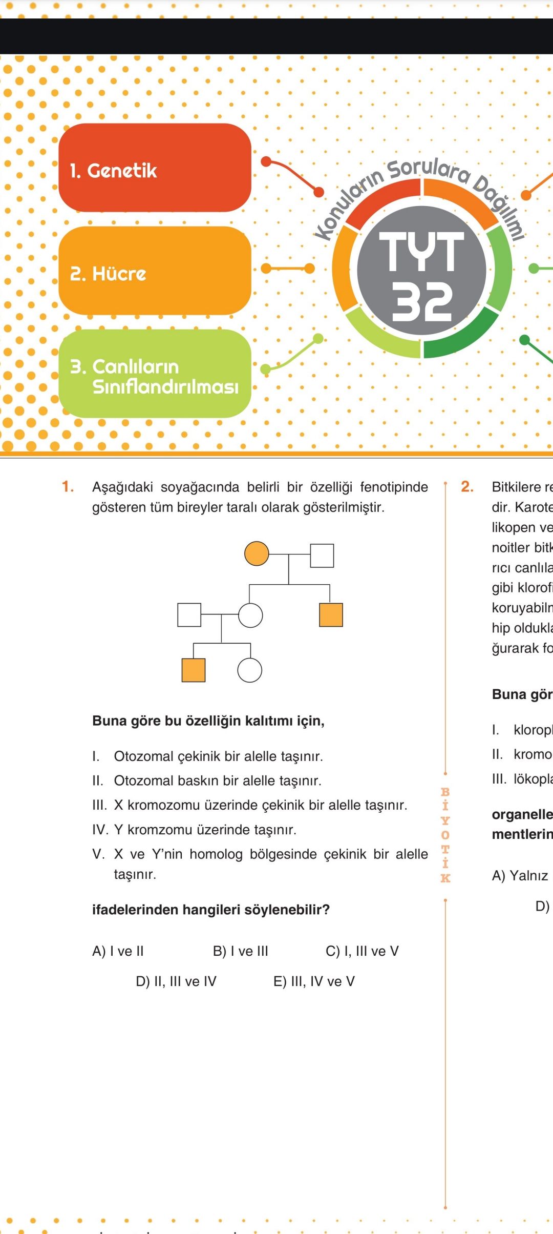 Aşağıdaki soyağacında belirli bir özelliği fenotipinde gösteren tüm bireyler taralı olarak