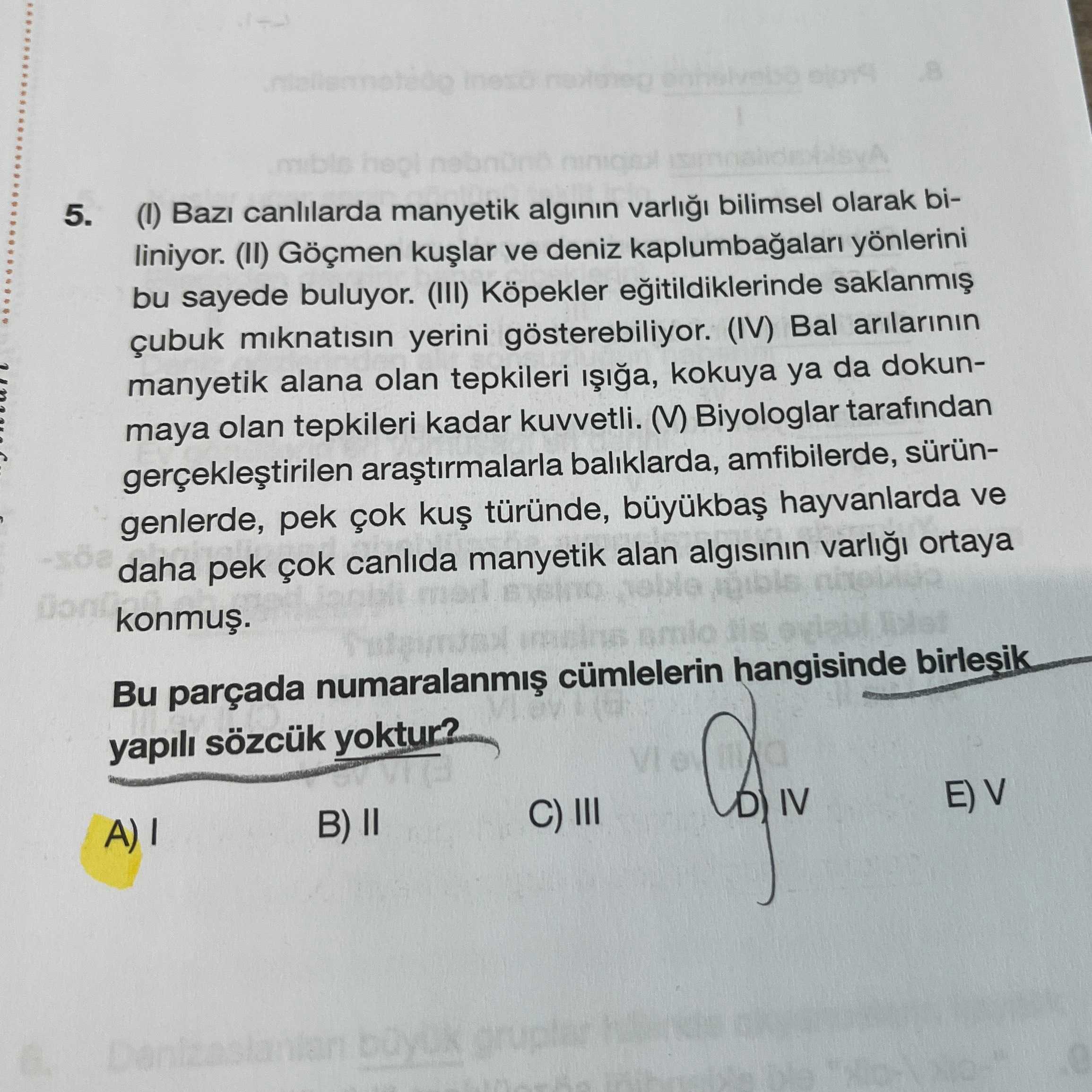 (I) Bazı canlılarda manyetik algının varlığı bilimsel olarak biliniyor. (II) Göçmen kuşlar ve deniz