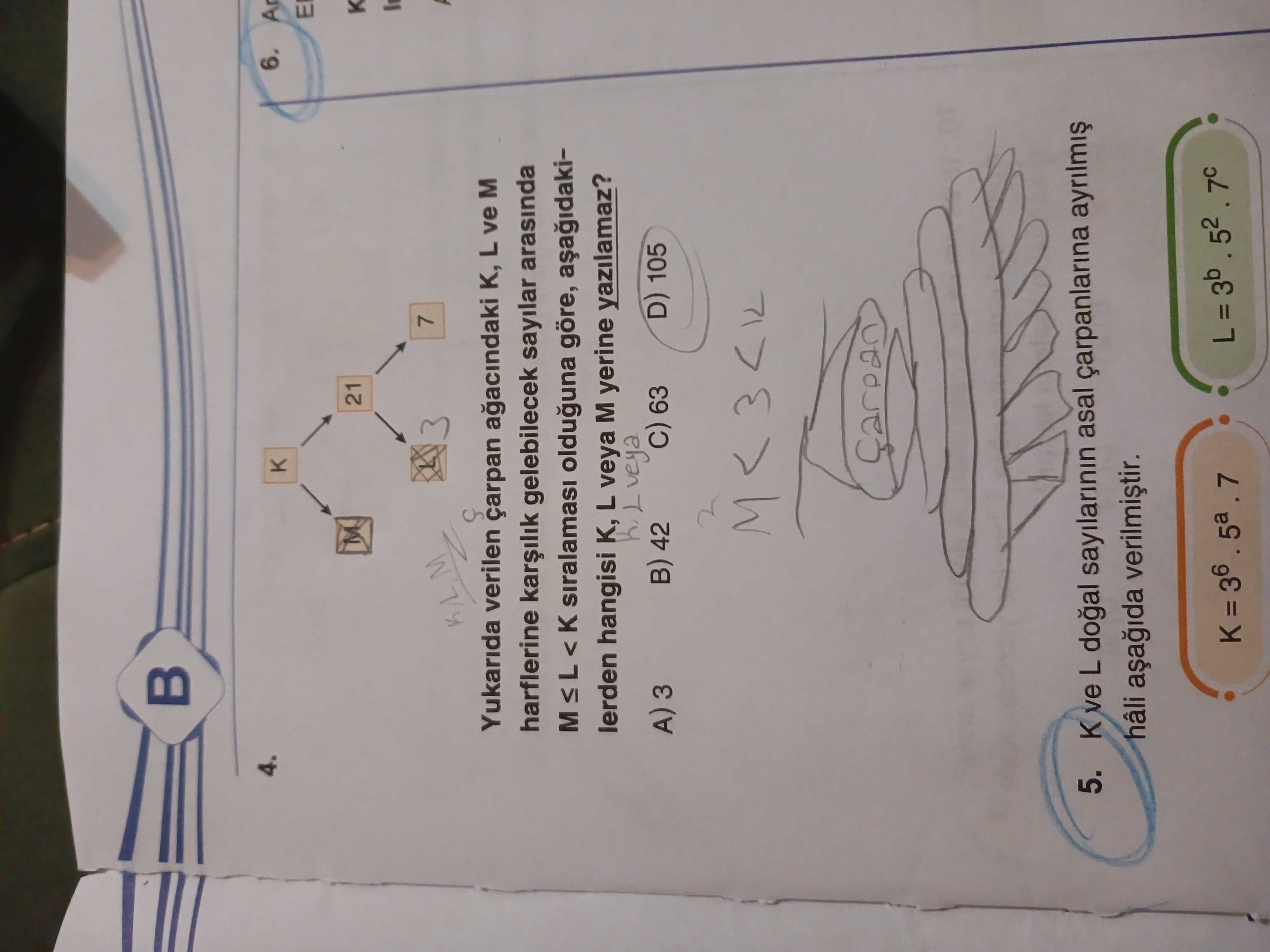 Matematik (8. Sınıf)