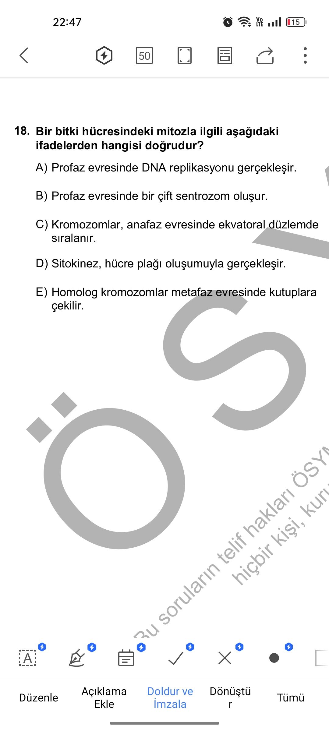 Bir bitki hücresindeki mitozla ilgili aşağıdaki ifadelerden hangisi doğrudur?