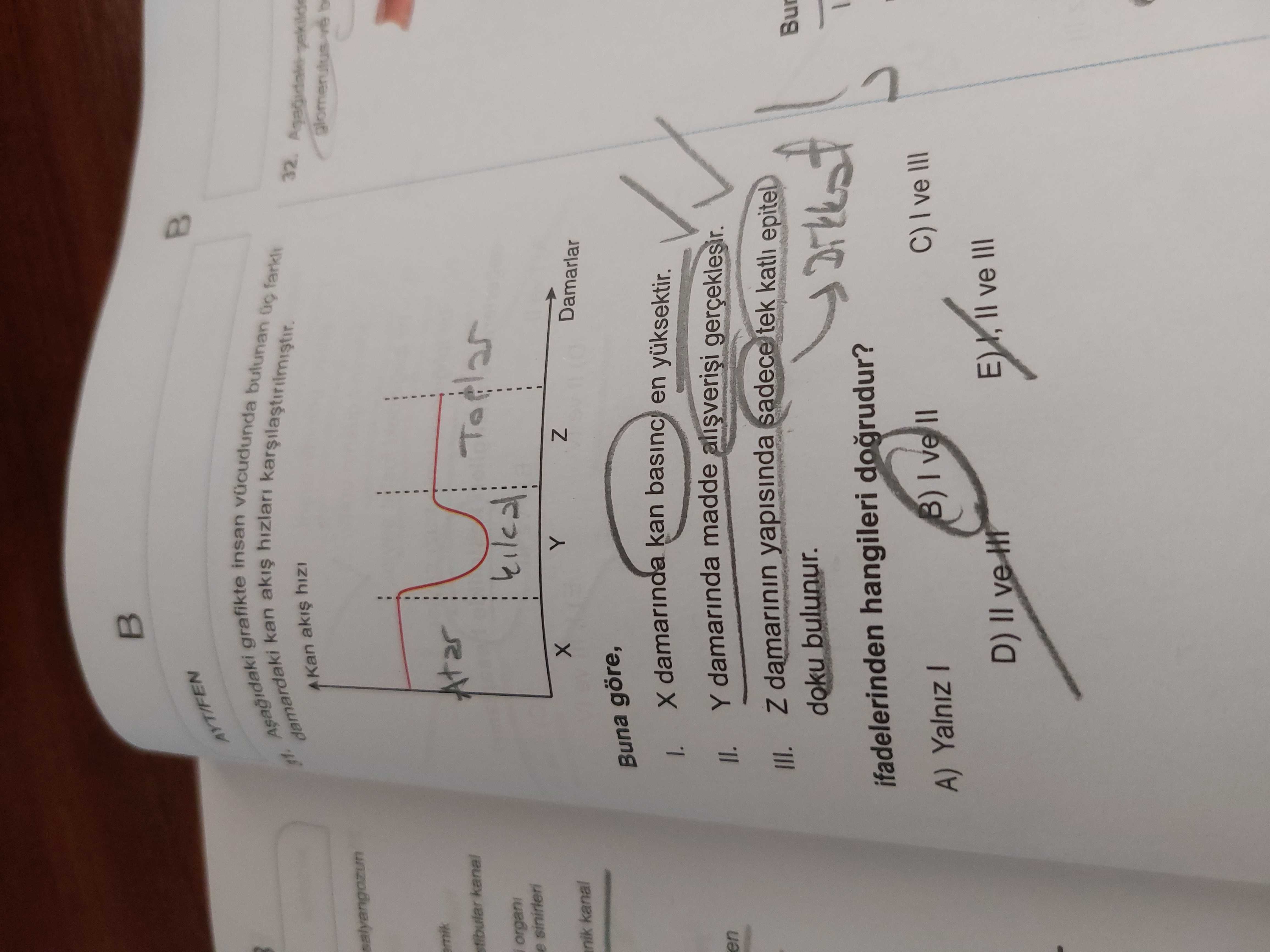 Aşağıdaki grafikte insan vücudunda bulunan üç farklı damardaki kan akış hızları karşılaştırılmıştır