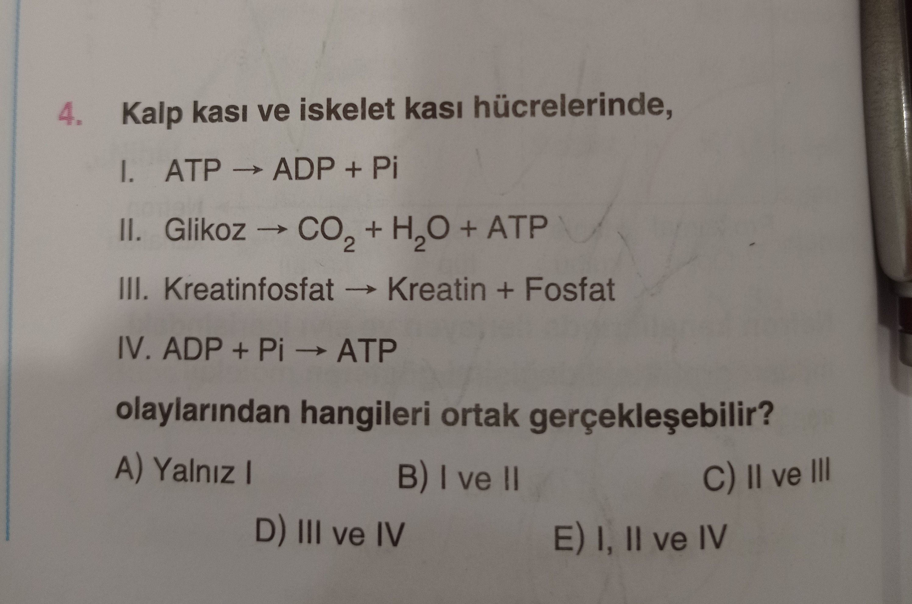 Kalp kası ve iskelet kası hücrelerinde, I. ATP → ADP + Pi II. Glikoz → CO₂ + H₂O + ATP III