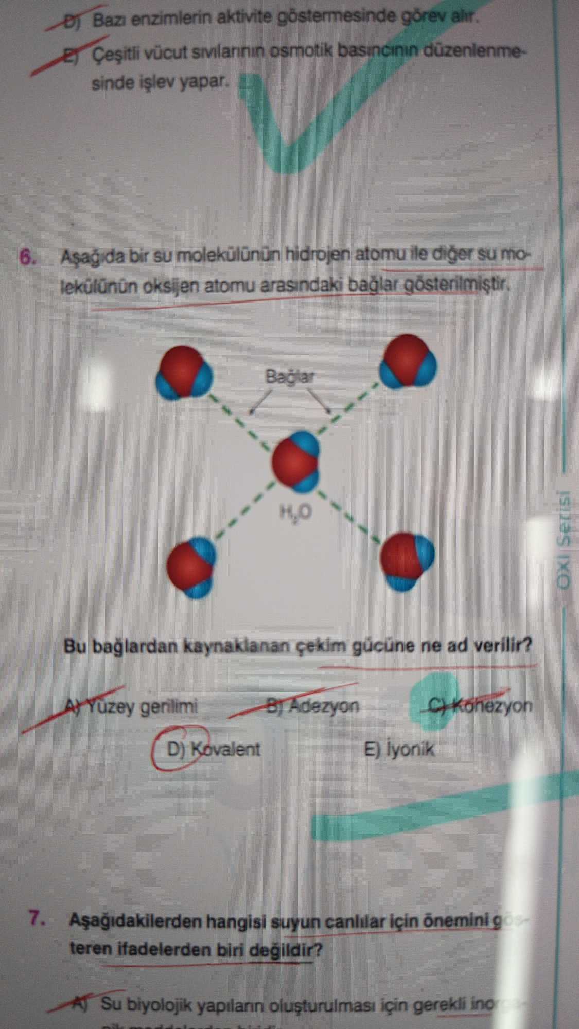 Aşağıda bir su molekülünün hidrojen atomu ile diğer su molekülünün oksijen atomu arasındaki bağlar
