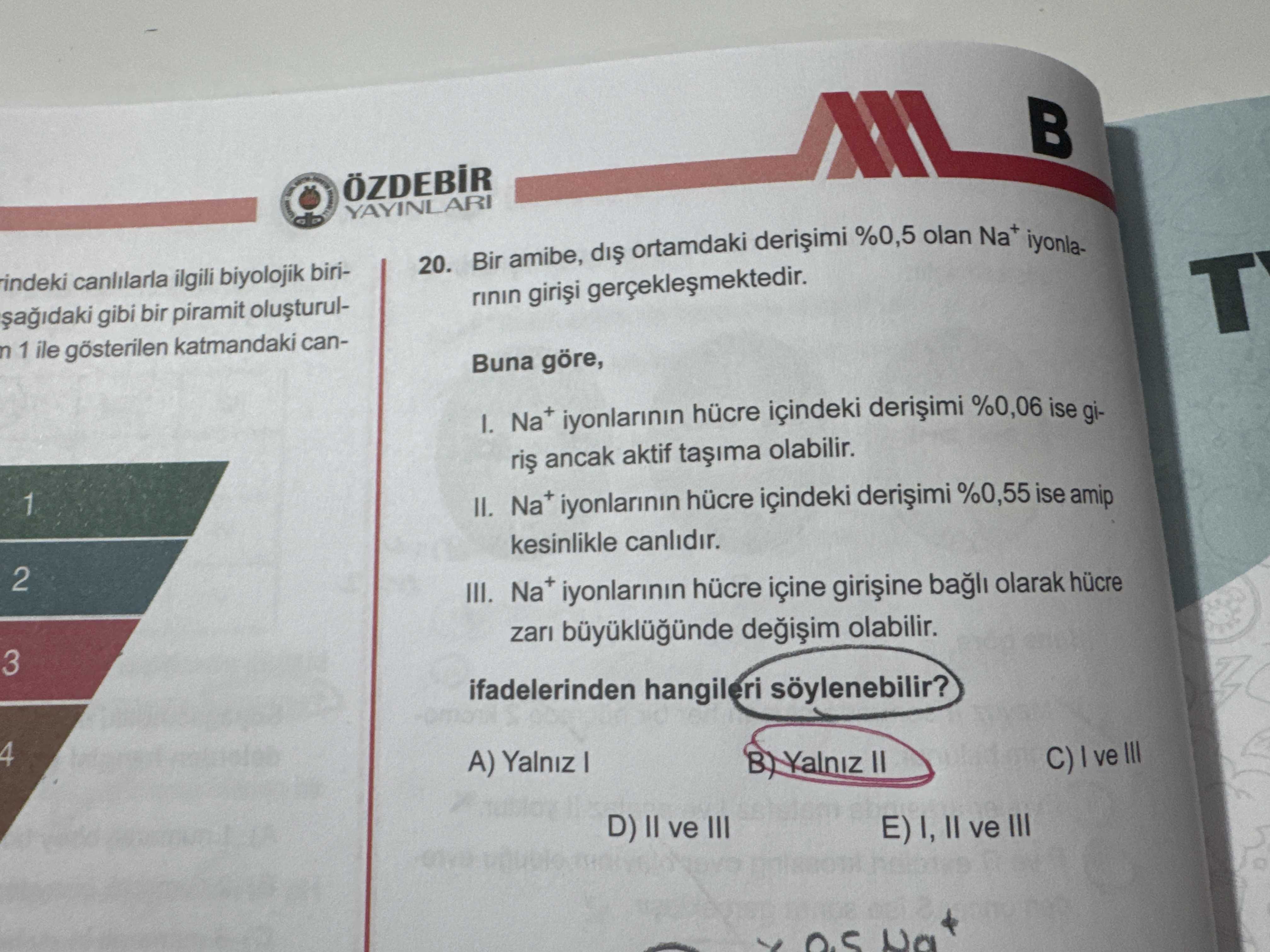 Bir amibe, dış ortamdaki derişimi %0,5 olan Na⁺ iyonlarının girişi gerçekleşmektedir. Buna göre, I