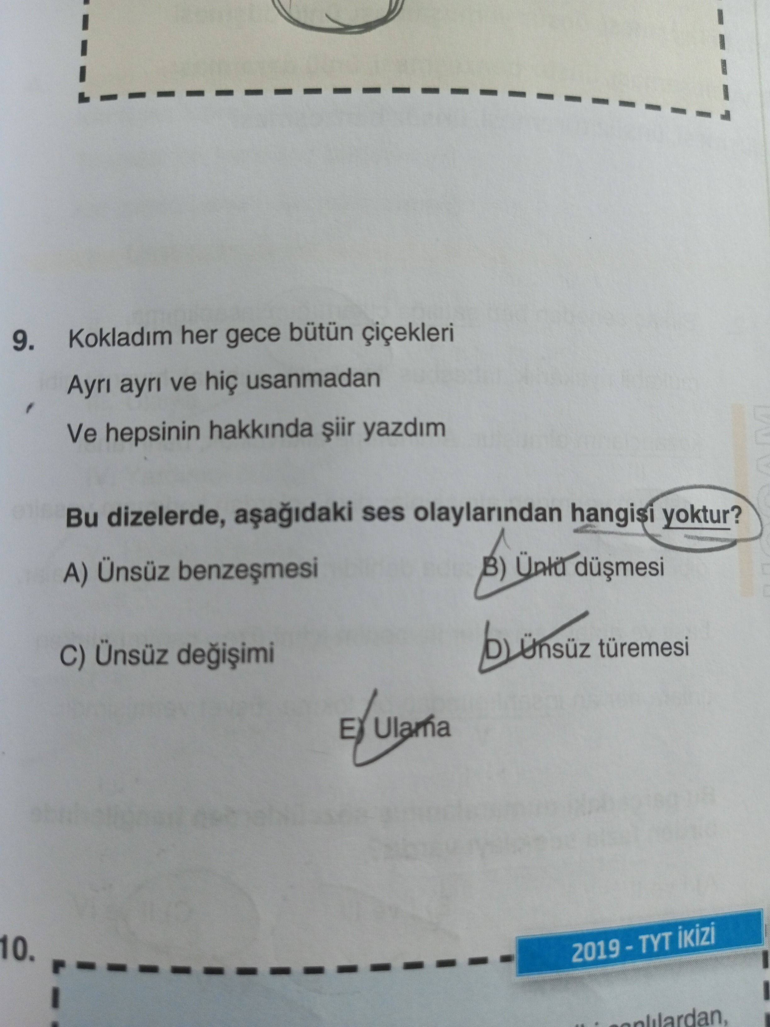 Kokladım her gece bütün çiçekleri Ayrı ayrı ve hiç usanmadan Ve hepsinin hakkında şiir yazdım Bu