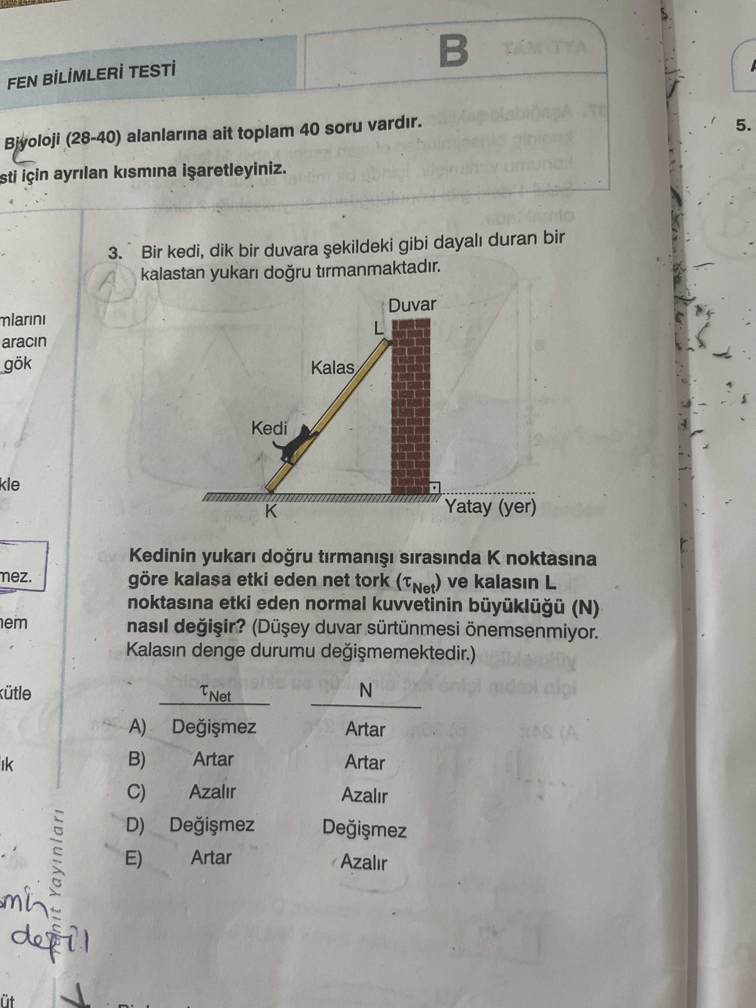 Bir kedi, dik bir duvara şekildeki gibi dayalı duran bir kalastan yukarı doğru tırmanmaktadır