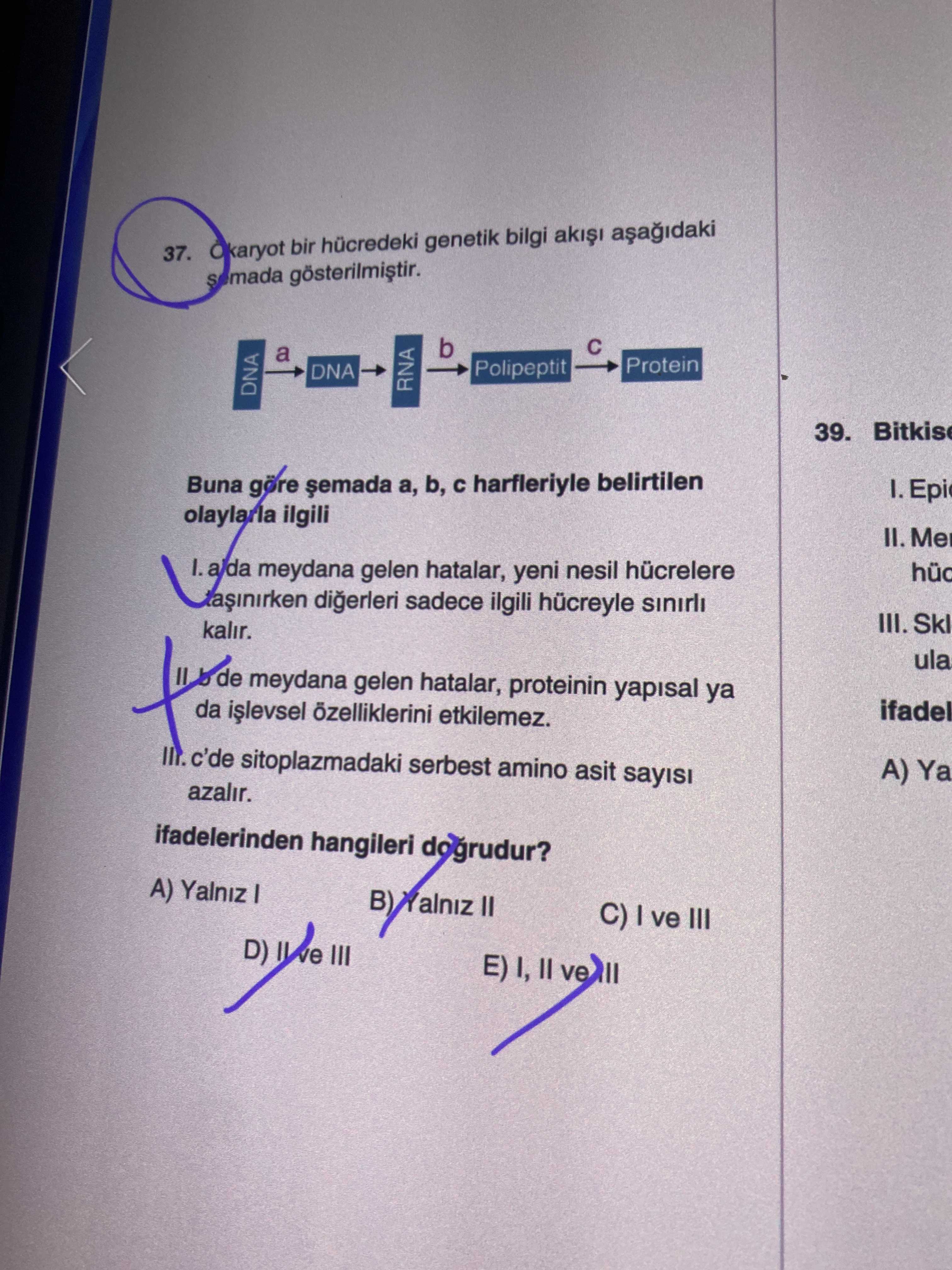 Ökaryot bir hücredeki genetik bilgi akışı aşağıdaki şemada gösterilmiştir. DNA →(a)→ DNA →(b)→ RNA
