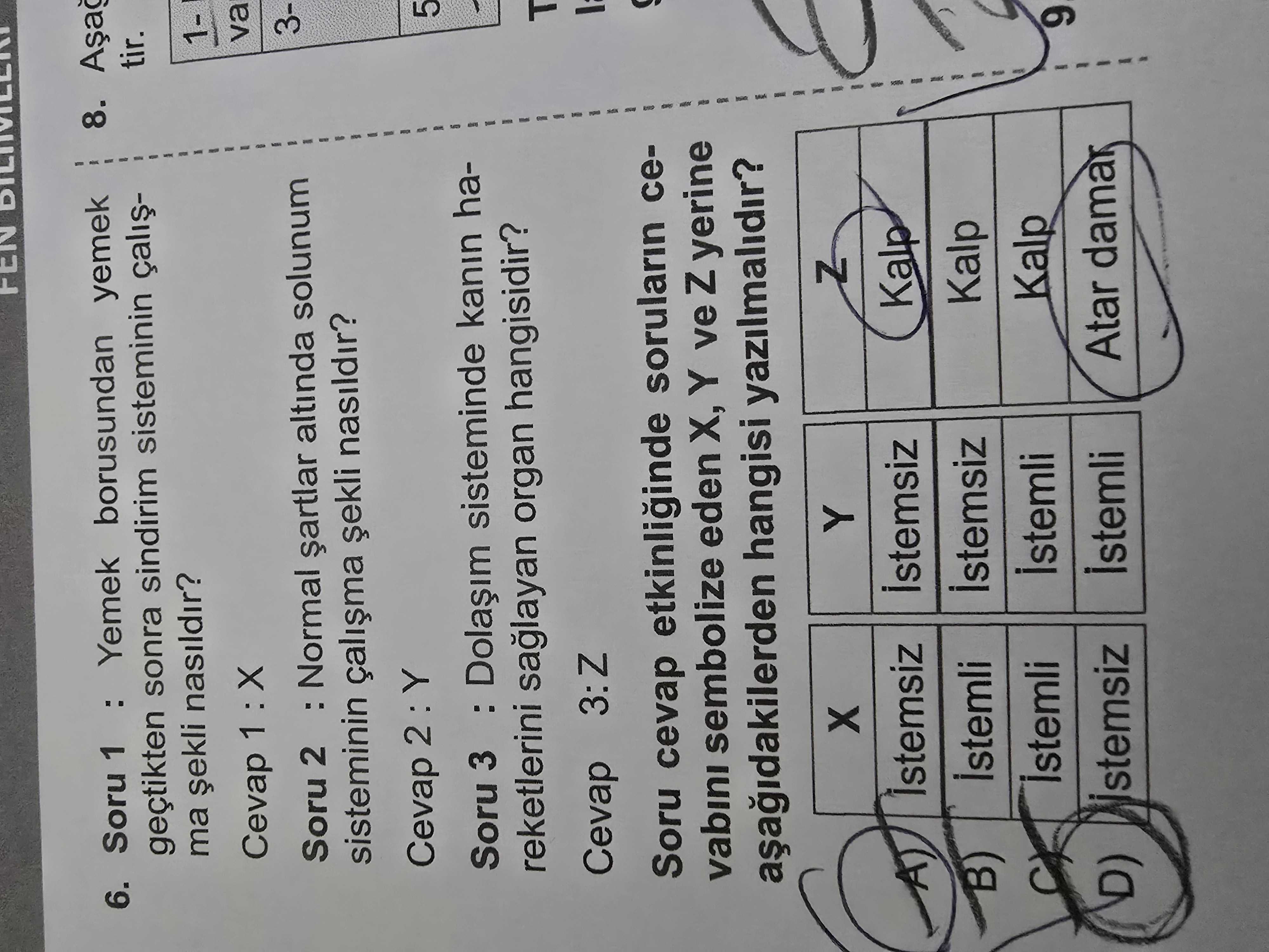 Fen Bilimleri (6. Sınıf)