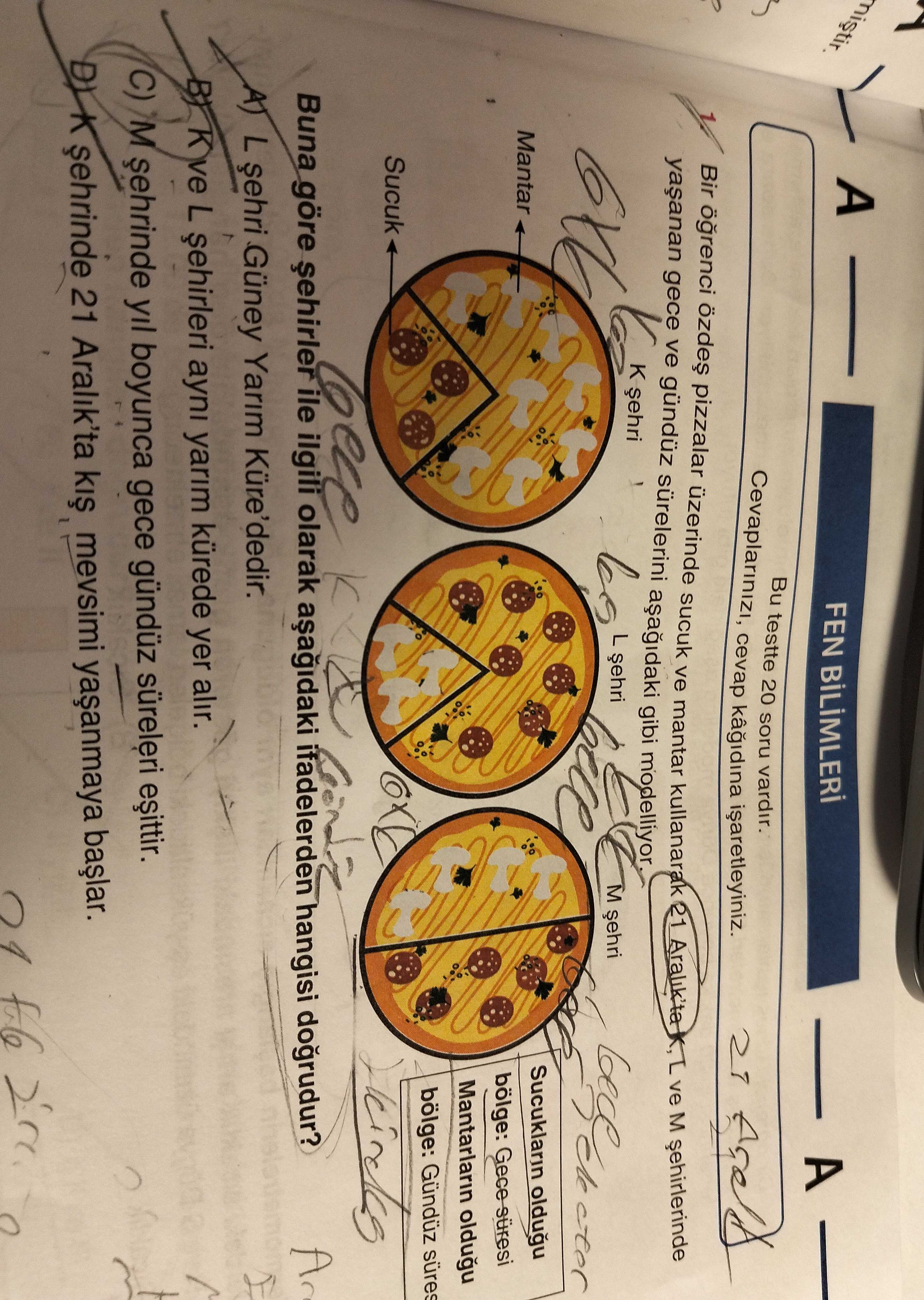 Bir öğrenci öz ve pizza üzerinde suçuk ve mantar kullanarak model oluşturmak istemiştir. Cevabınızı