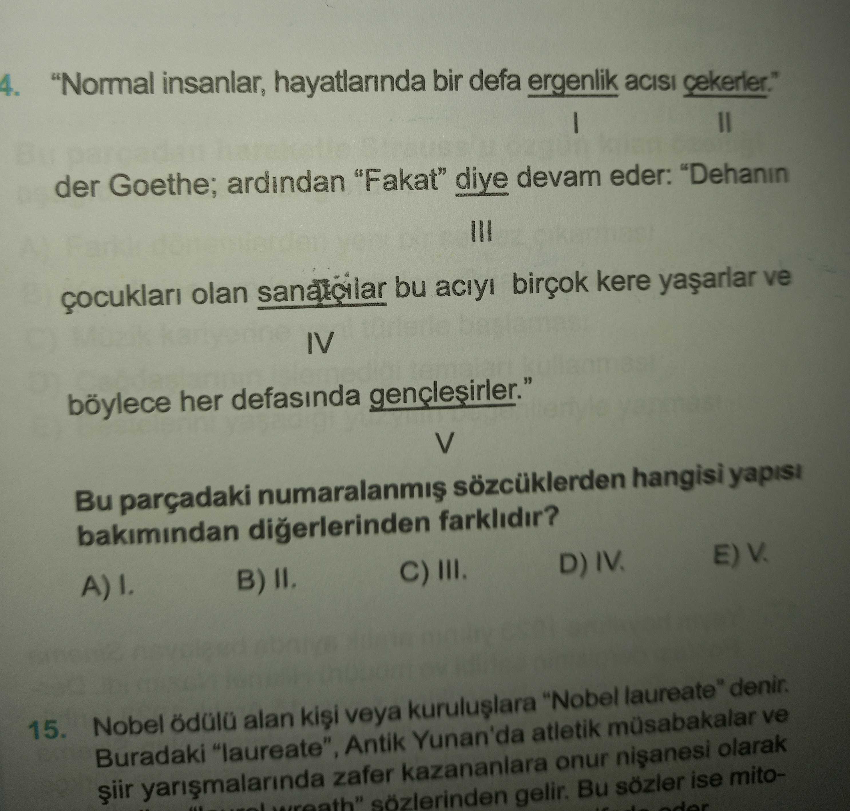 "Normal insanlar, hayatlarında bir defa ergenlik acısı çekerler." I II der Goethe; ardından "Fakat"