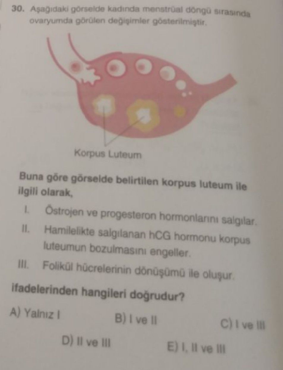 Aşağıdaki görselde kadında menstrual döngü sırasında ovaryumda görülen değişimler gösterilmiştir. Buna göre görselde belirtilen