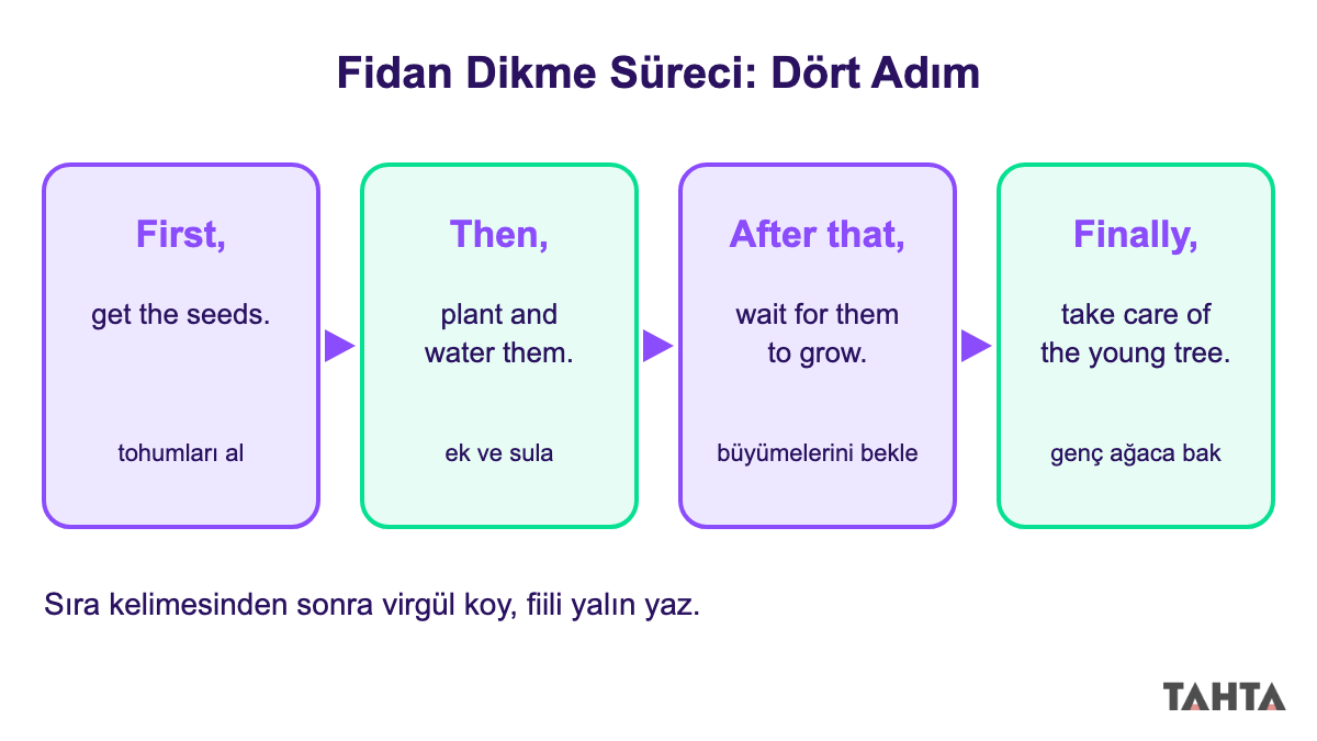 First, then, after that ve finally kelimeleriyle dört adımda fidan dikme sürecini gösteren akış şeması