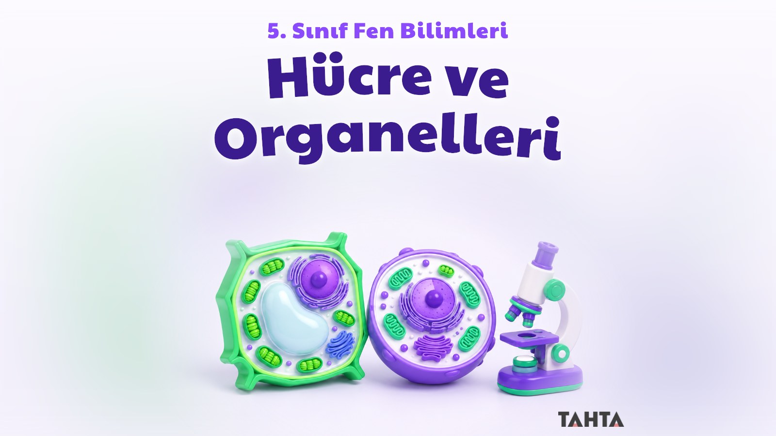 Mor ve yeşil tonlarda üç boyutlu bitki hücresi, hayvan hücresi ve mikroskop modeli
