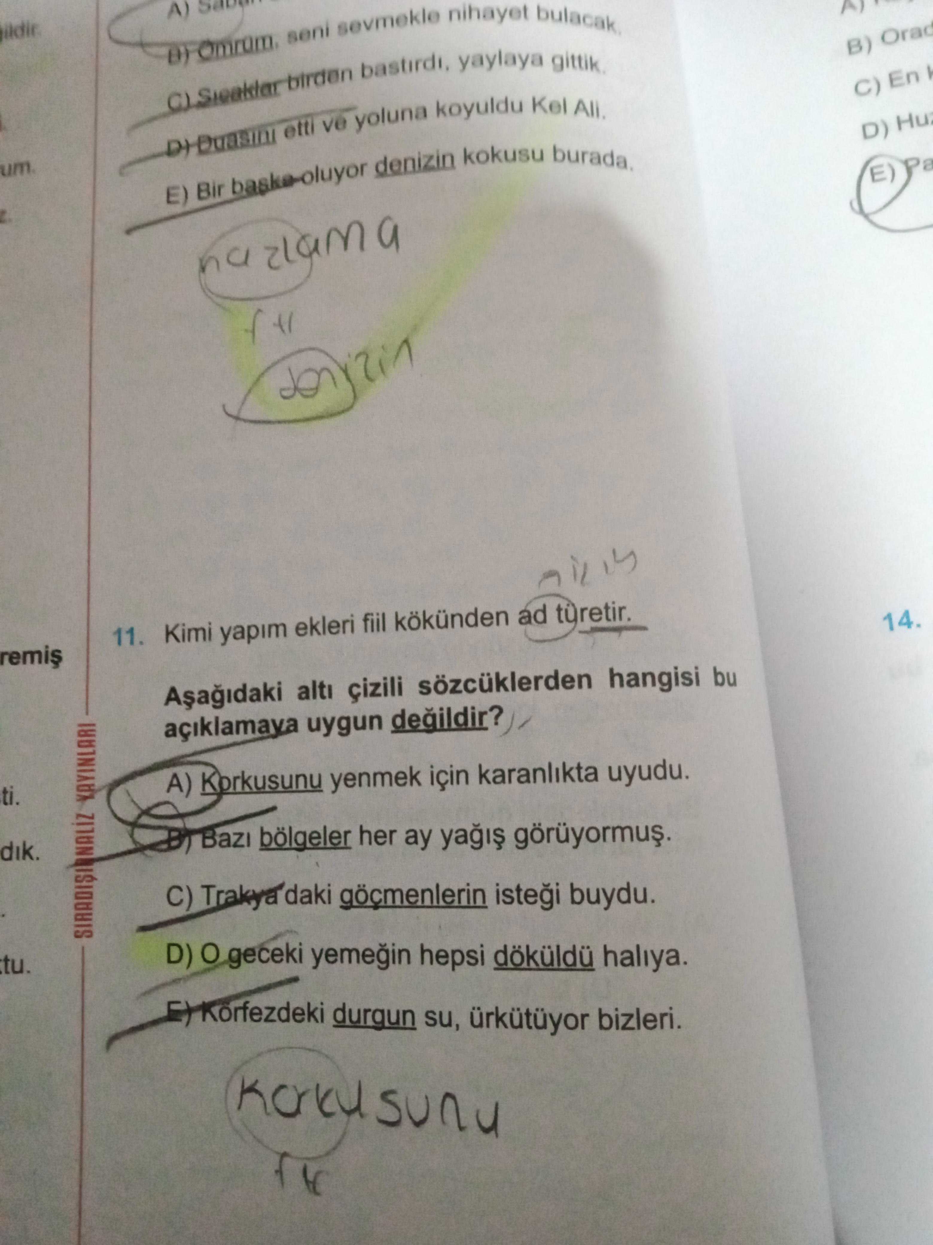 Türkçe (12. Sınıf)
