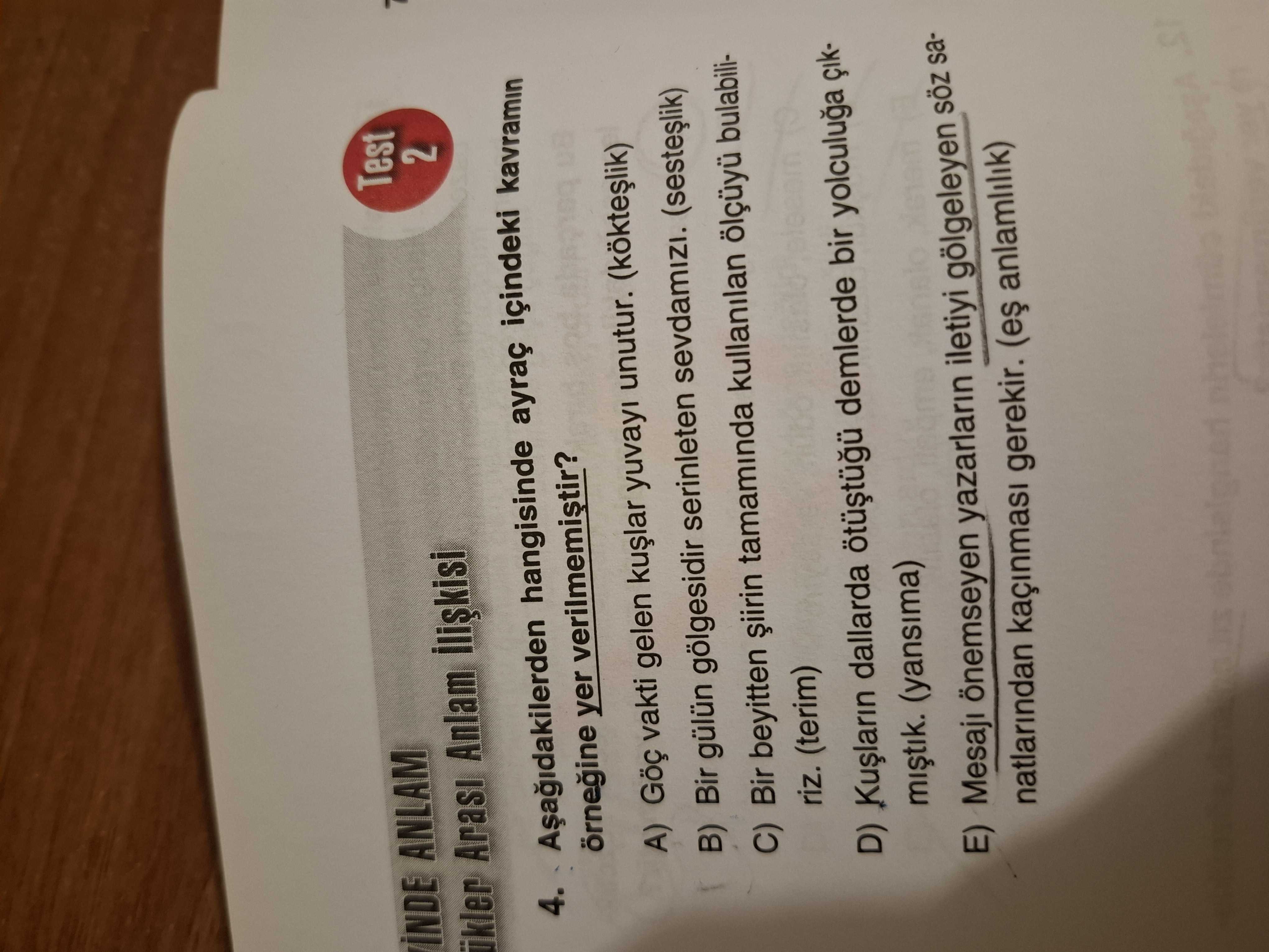 Türkçe (12. Sınıf)