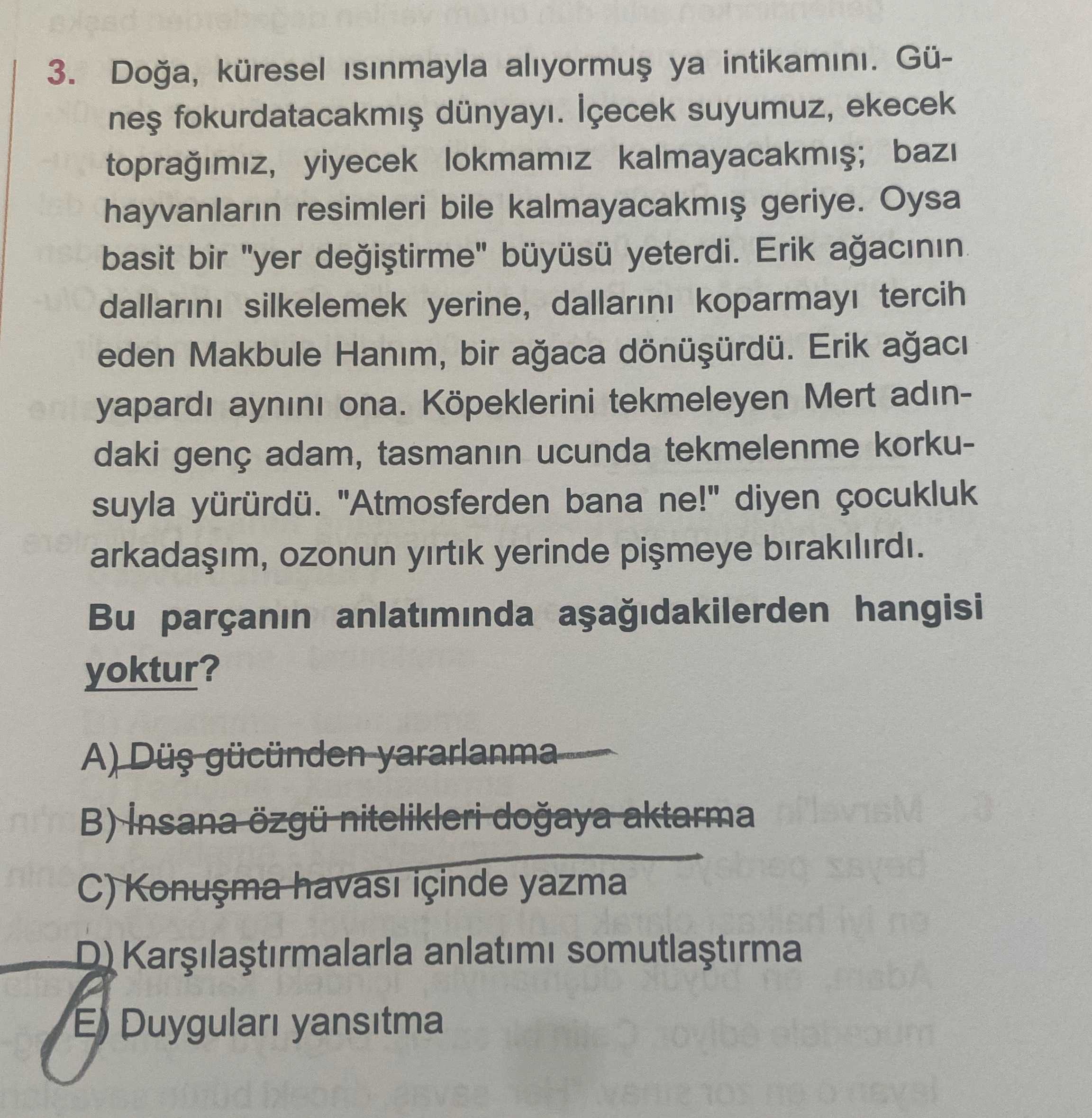 Türkçe (12. Sınıf)