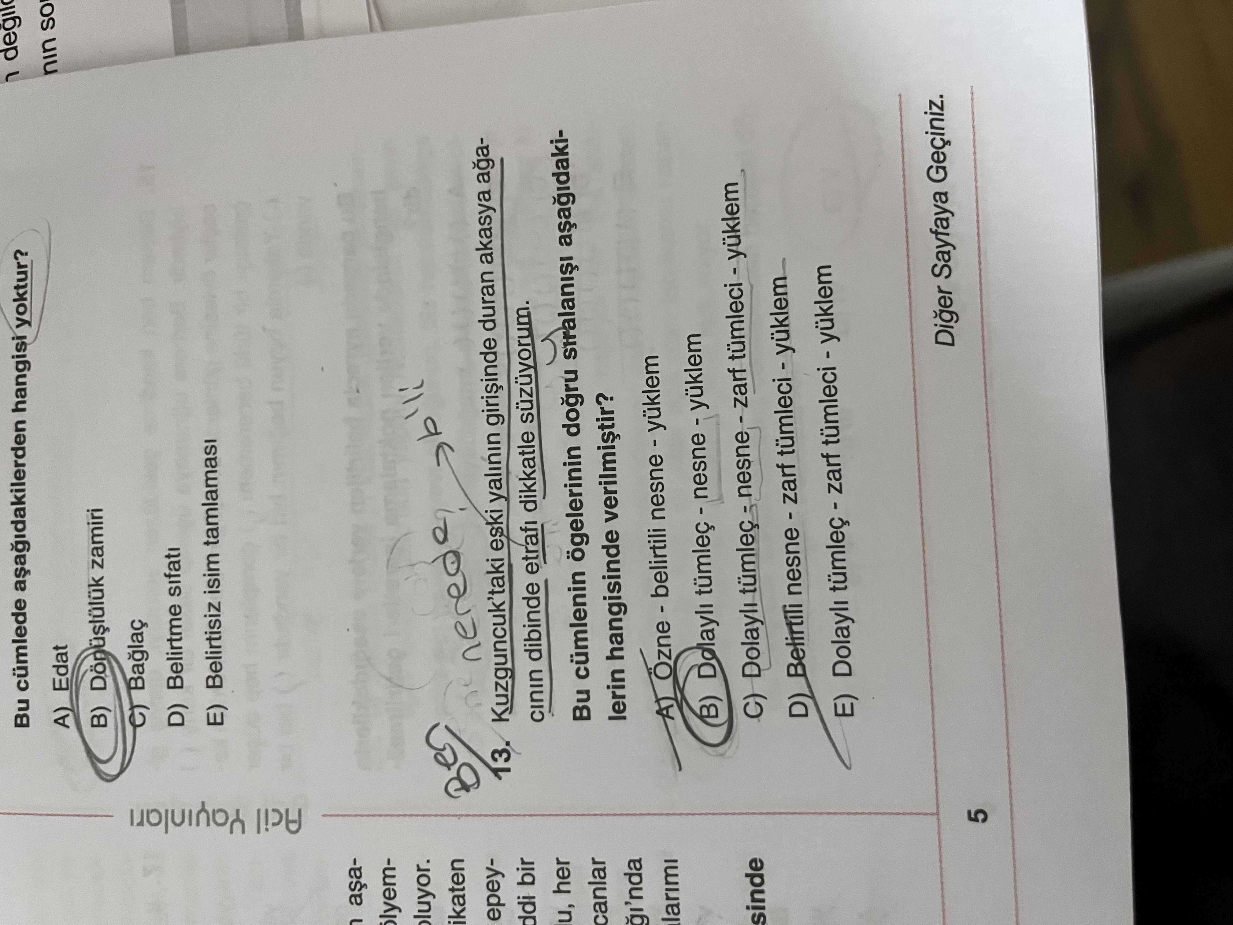 Kuzguncuk'taki eski yalının girişinde duran akasya ağacının dibinde etrafı dikkatle süzüyorum. Bu