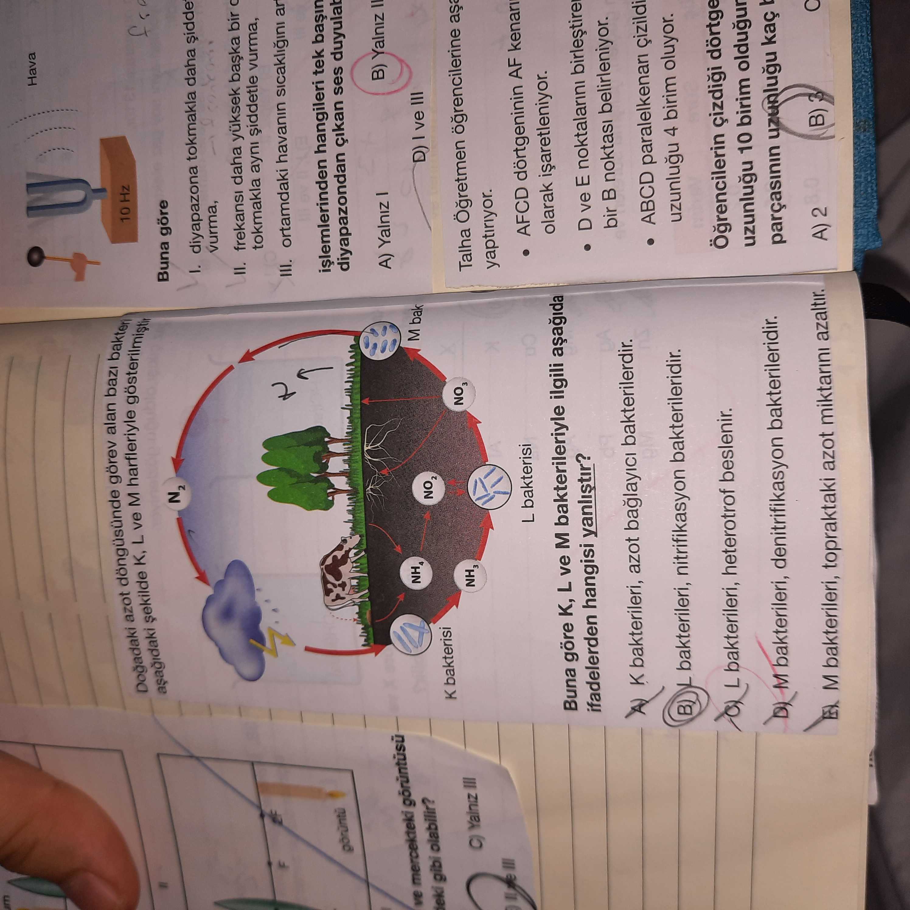 Hava Dogadaki azot K, L ve M harfleriyle görev alan 10 Hz Buna göre diyapazona tokmakla daha sidde vurma, daha bir tokmakla ayni siddetle vurma, III. ortamdaki havanin hangileri tek diyapazondan ses B) Yalniz A) Yalniz ve mercekteki NH4 M bak eki gibi olabilir. D) ve III bakterisi Yalniz III NH3 Talha L bakterisi AFCD dörtgeninin AF olarak Buna göre K, L ve M bakterileriyle ilgili ifadelerden hangisi D ve E noktalarini bir noktasi belirleniyor. K bakterileri, azot bakterilerdir. ABCD çizildi B) L bakterileri, nitrifikasyon bakterileridir. 4 birim oluyor. L bakterileri, heterotrof beslenir. çizdigi dörtge 10 birim oldugur M bakterileri, Hava Dogadaki azot K, L ve M harfleriyle görev alan 10 Hz Buna göre diyapazona tokmakla daha sidde vurma, daha bir tokmakla ayni siddetle vurma, III. çizdigi dörtge 10 birim oldugur M bakterileri,. ?? Model.Question.title