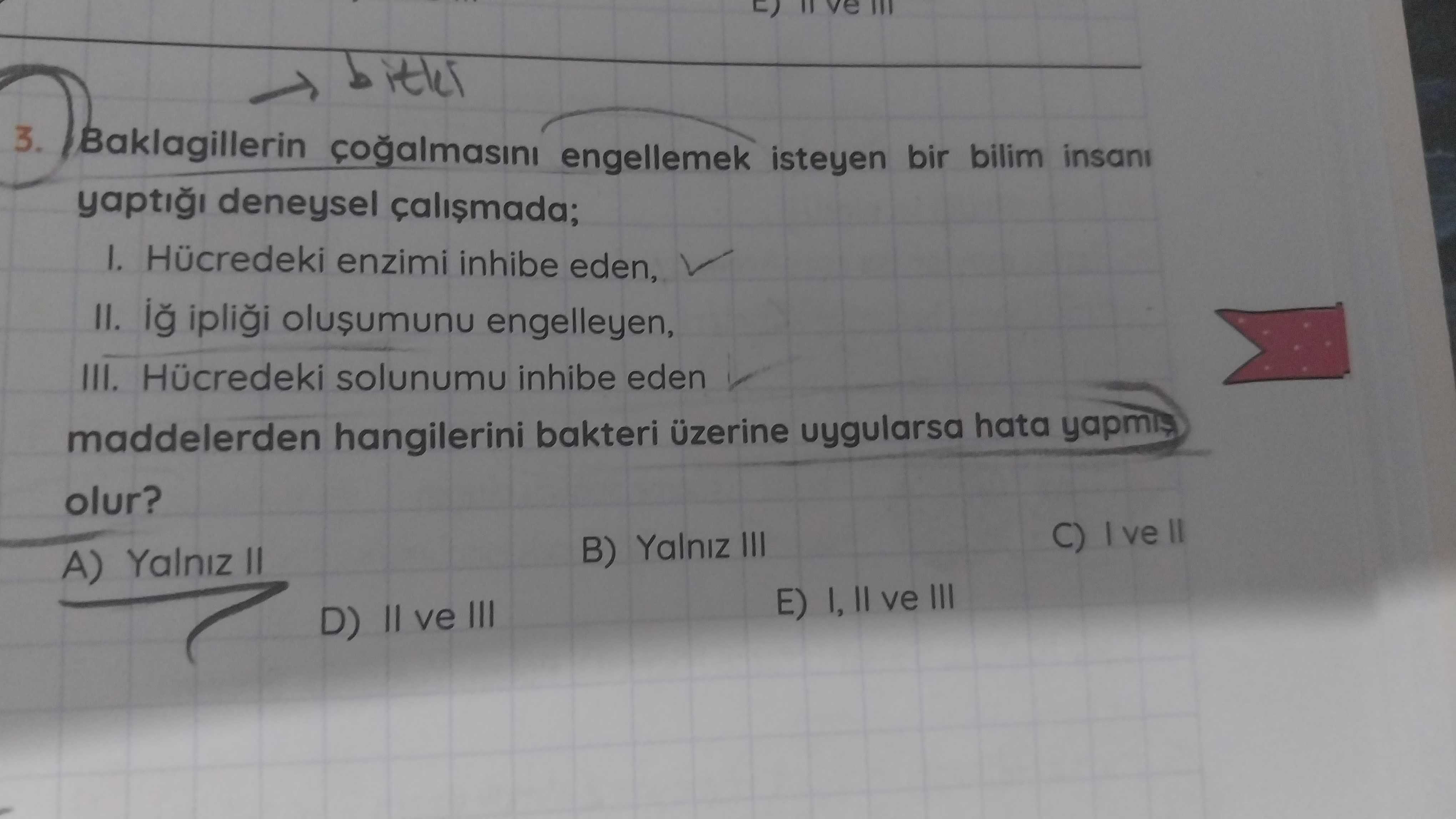Biyoloji (11. Sınıf)