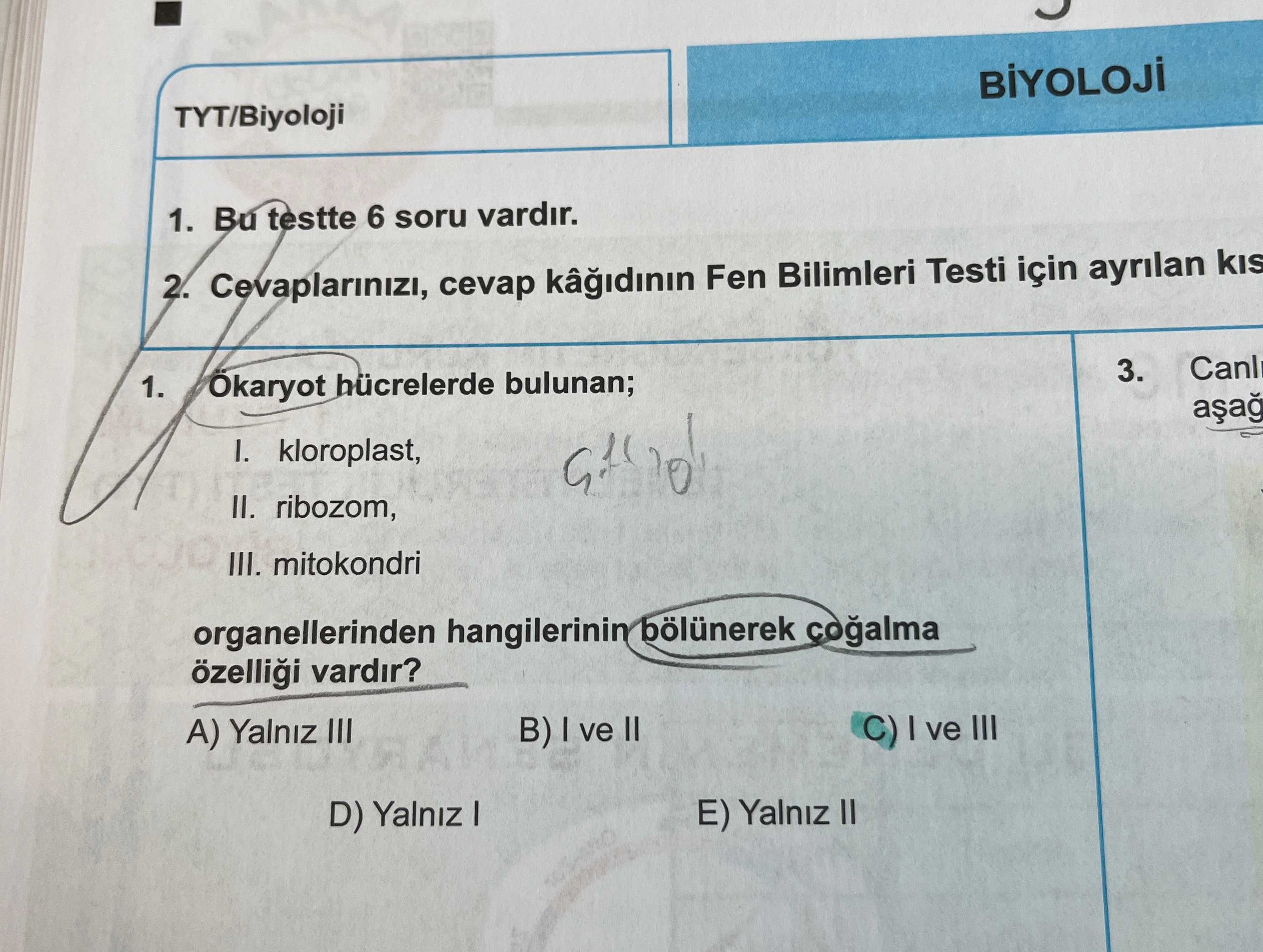Ökaryot hücrelerde bulunan; I. kloroplast, II. ribozom, III. mitokondri organellerinden hangilerinin