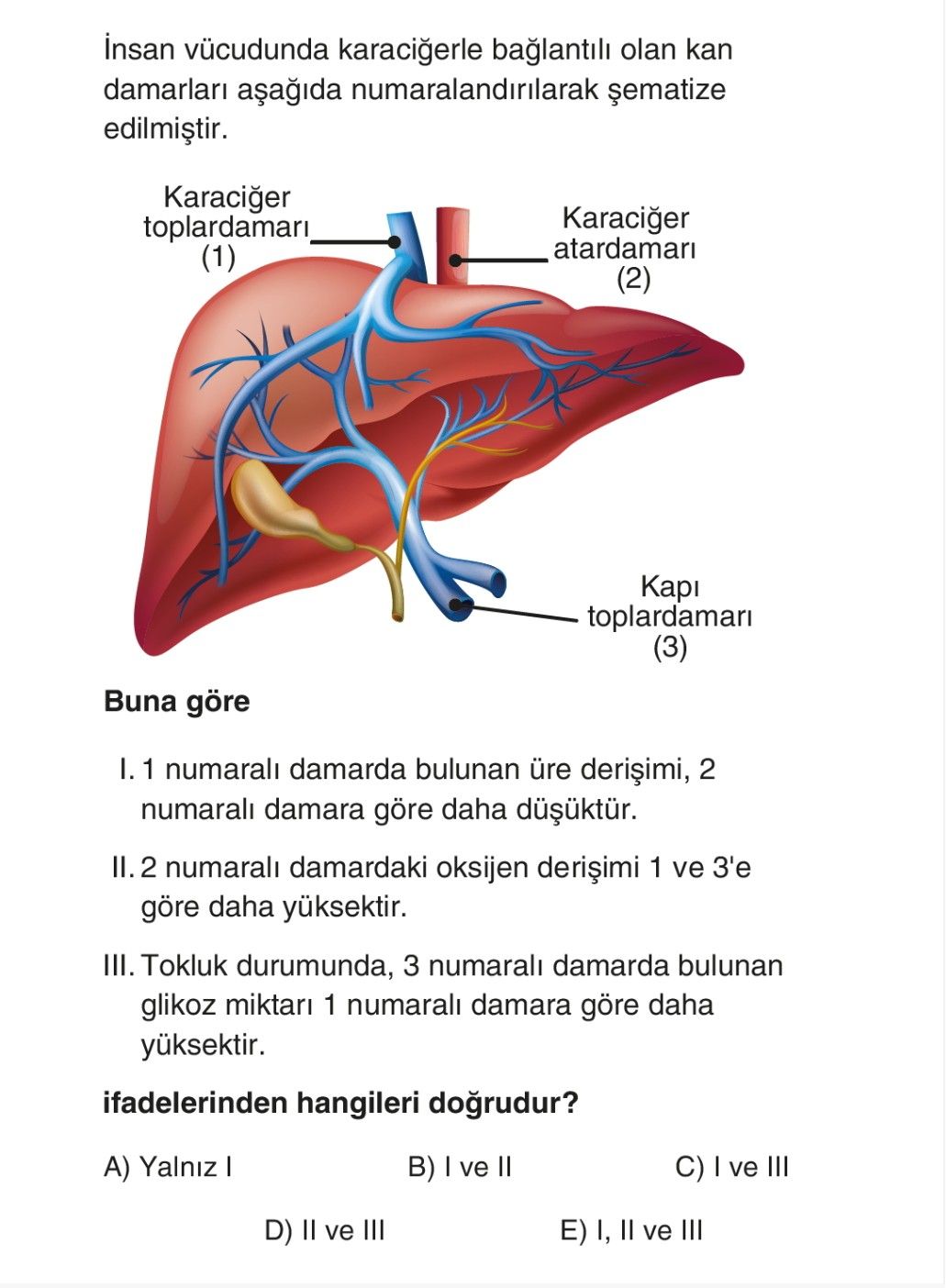 İnsan vücudunda karaciğerle bağlantılı olan kan damarları aşağıda numaralandırılarak şematize
