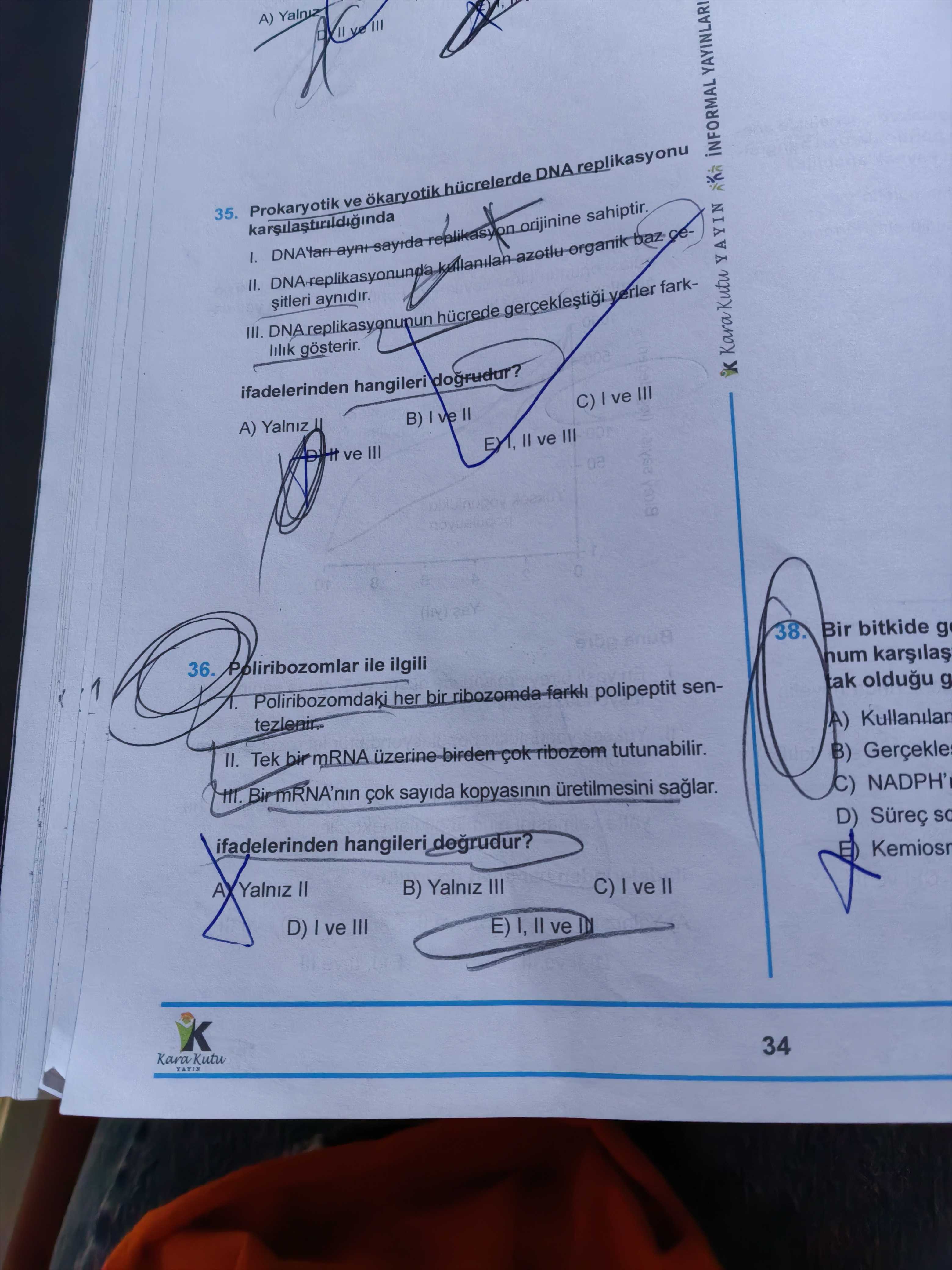 Prokaryotik ve ökaryotik hücrelerde DNA replikasyonu karşılaştırıldığında I. DNA'ları aynı sayıda