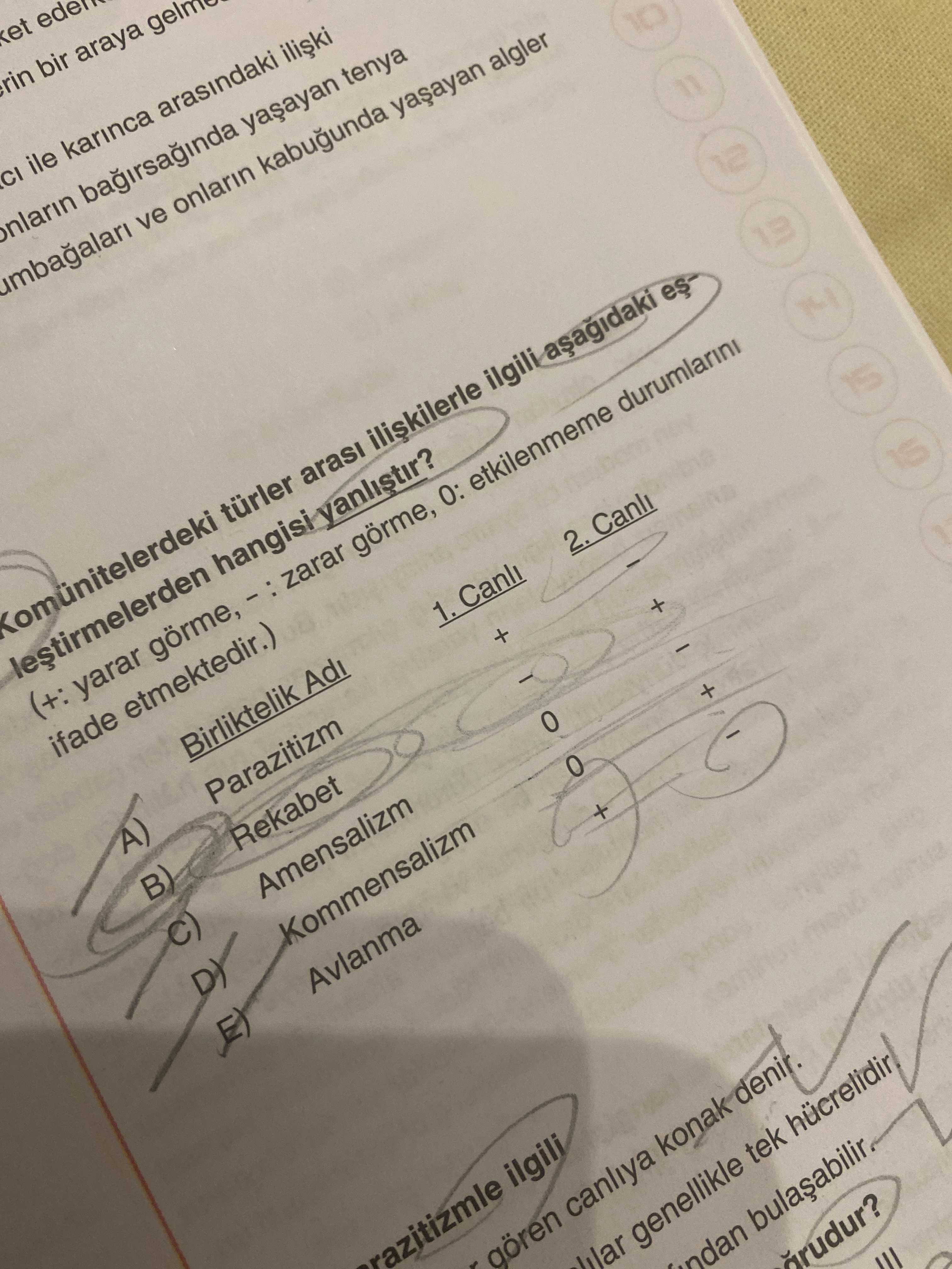 Komünitelerdeki türler arası ilişkilerle ilgili aşağıdaki eşleştirmelerden hangisi yanlıştır? (+