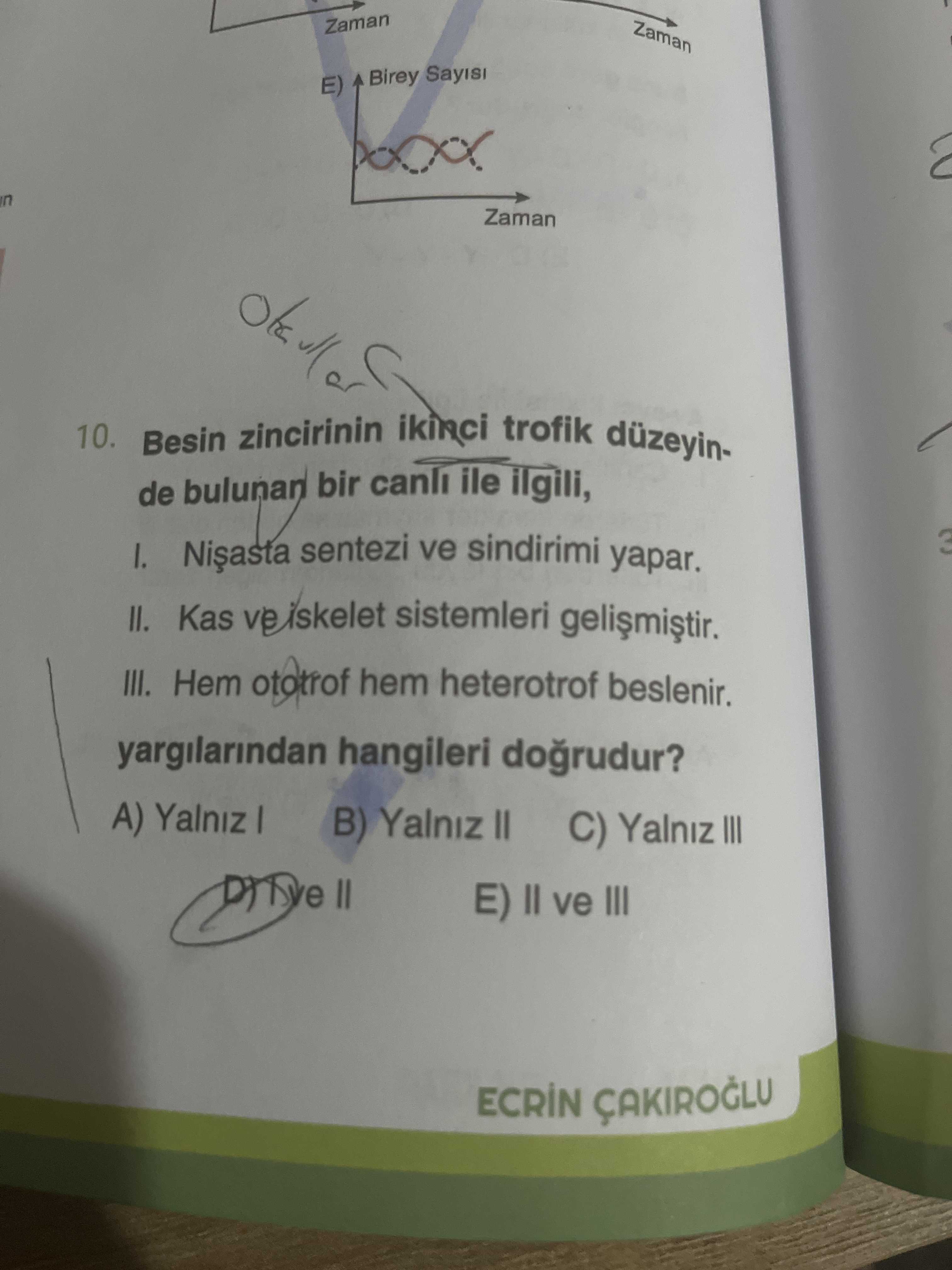 Besin zincirinin ikinci trofik düzeyinde bulunan bir canlı ile ilgili, I. Nişasta sentezi ve