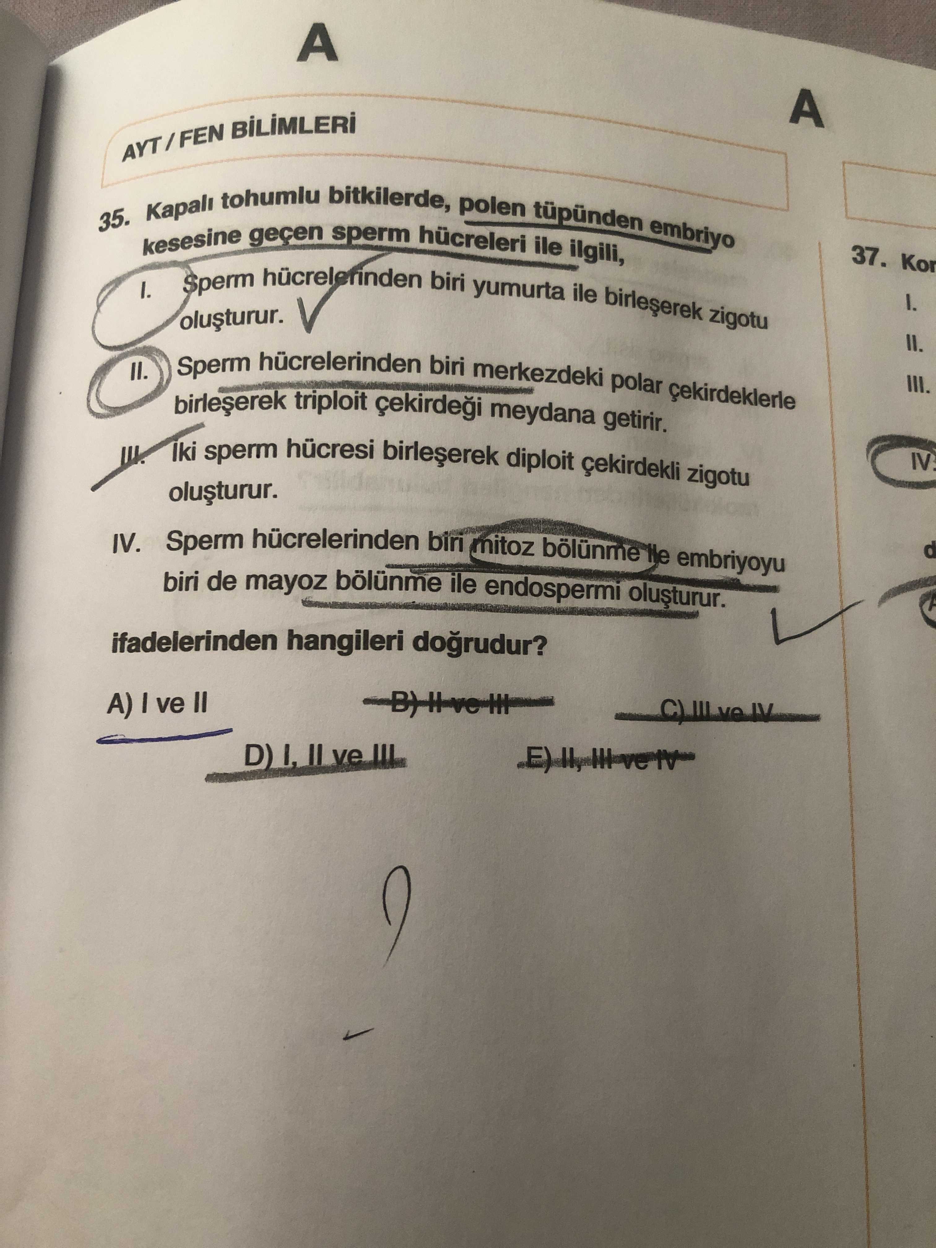 Kapalı tohumlu bitkilerde, polen tüpünden embriyo kesesine geçen sperm hücreleri ile ilgili, I
