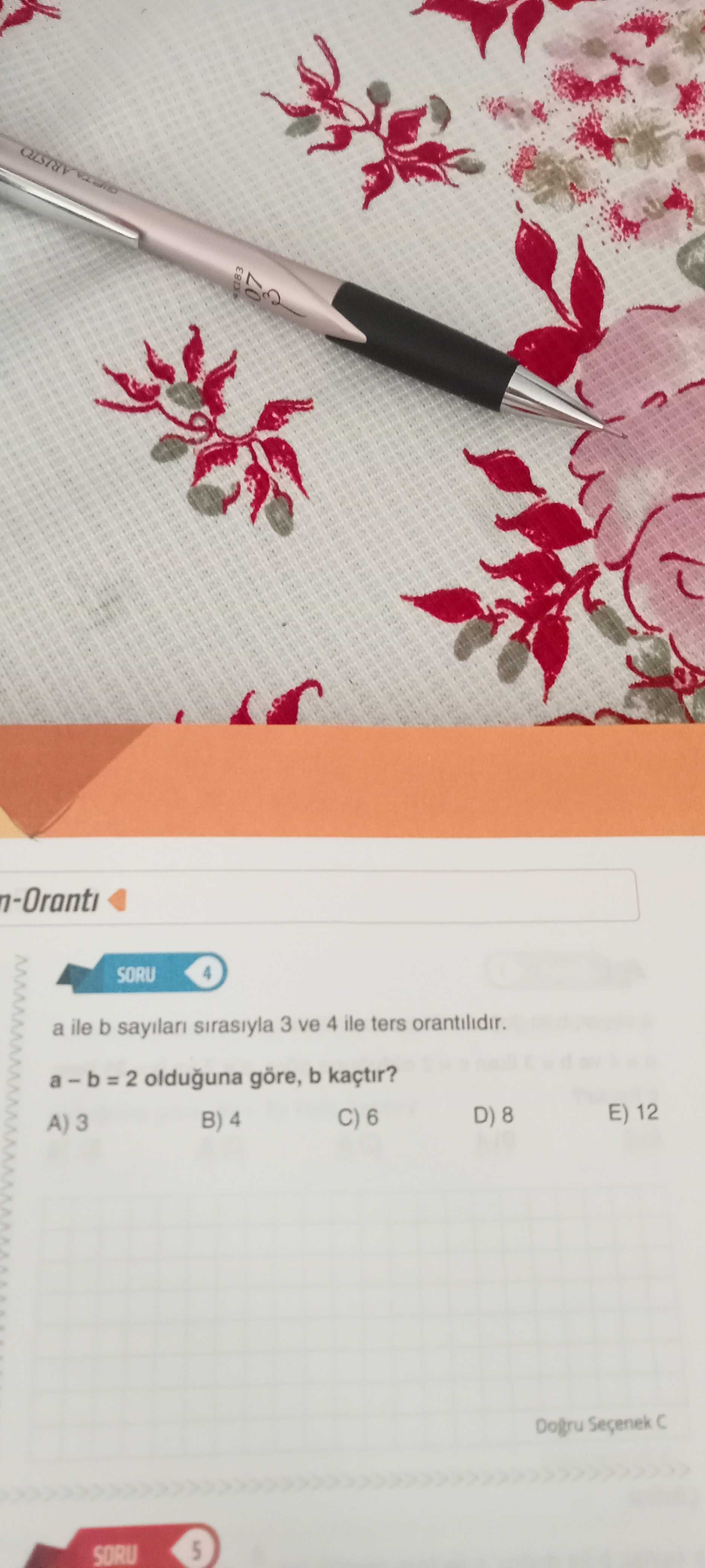 Matematik (Mezun)