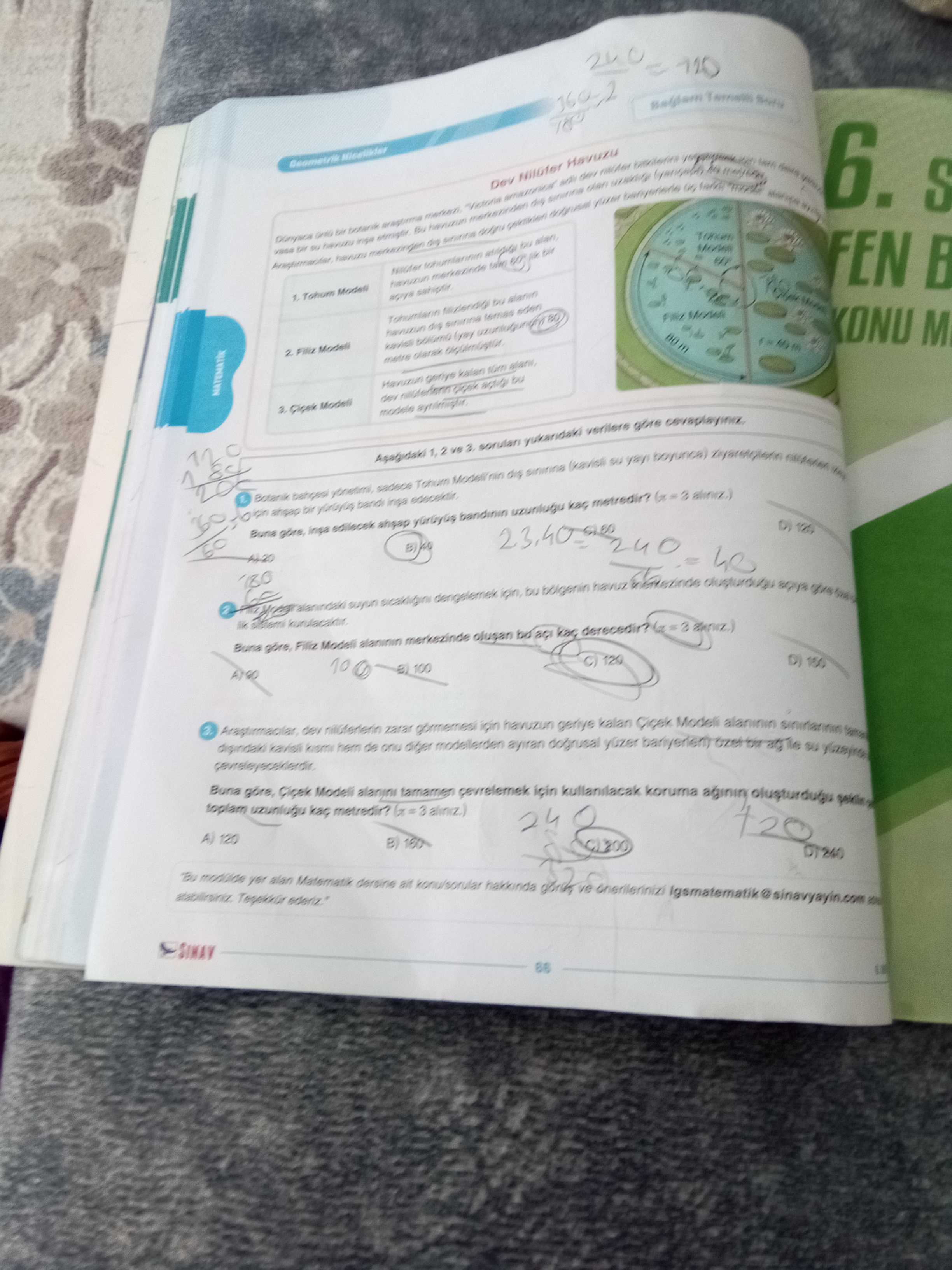 Botanik bahçesi yönetimi, sadece Tohum Modeli'nin dış sınırına (kavisli su yayı boyunca)