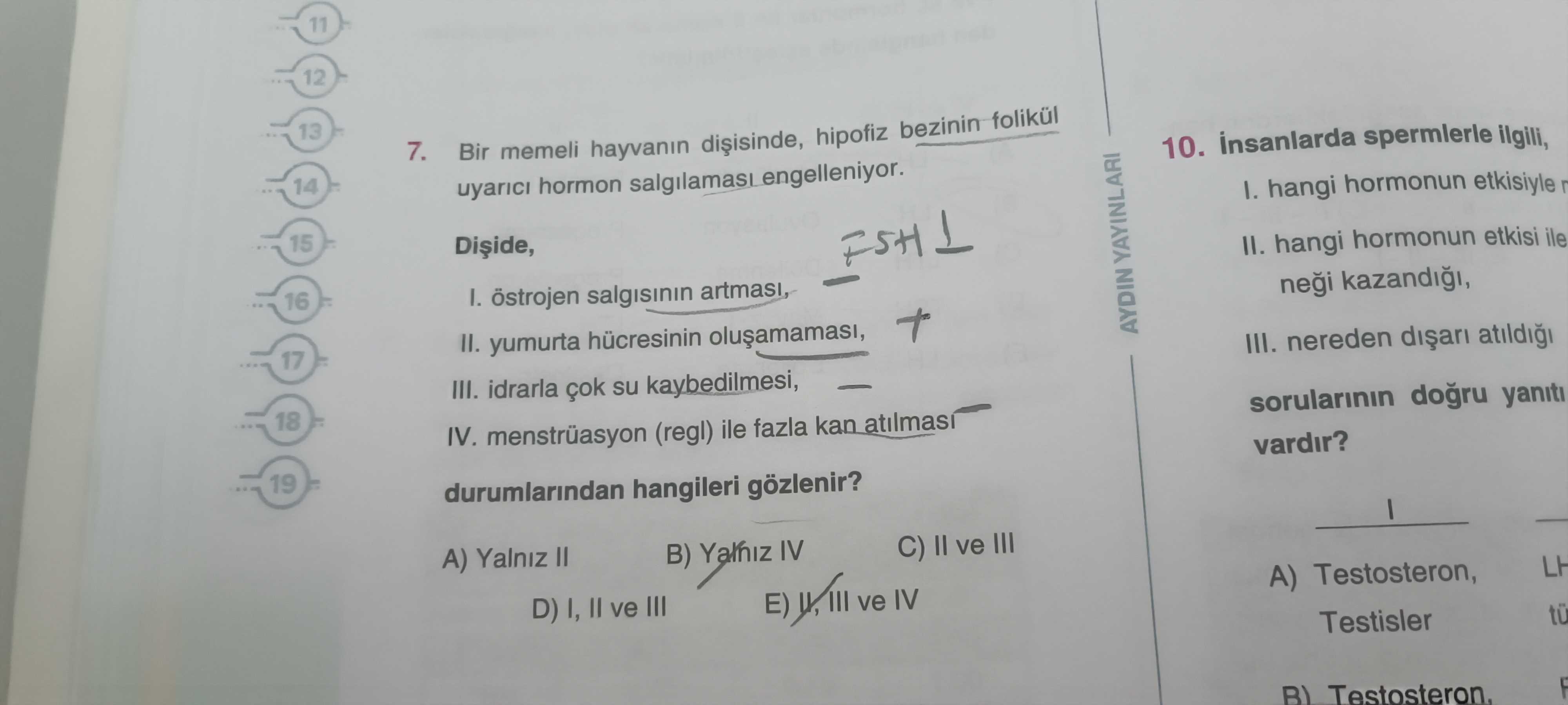 Bir memeli hayvanın dişisinde, hipofiz bezinin folikül uyarıcı hormon salgılaması engelleniyor