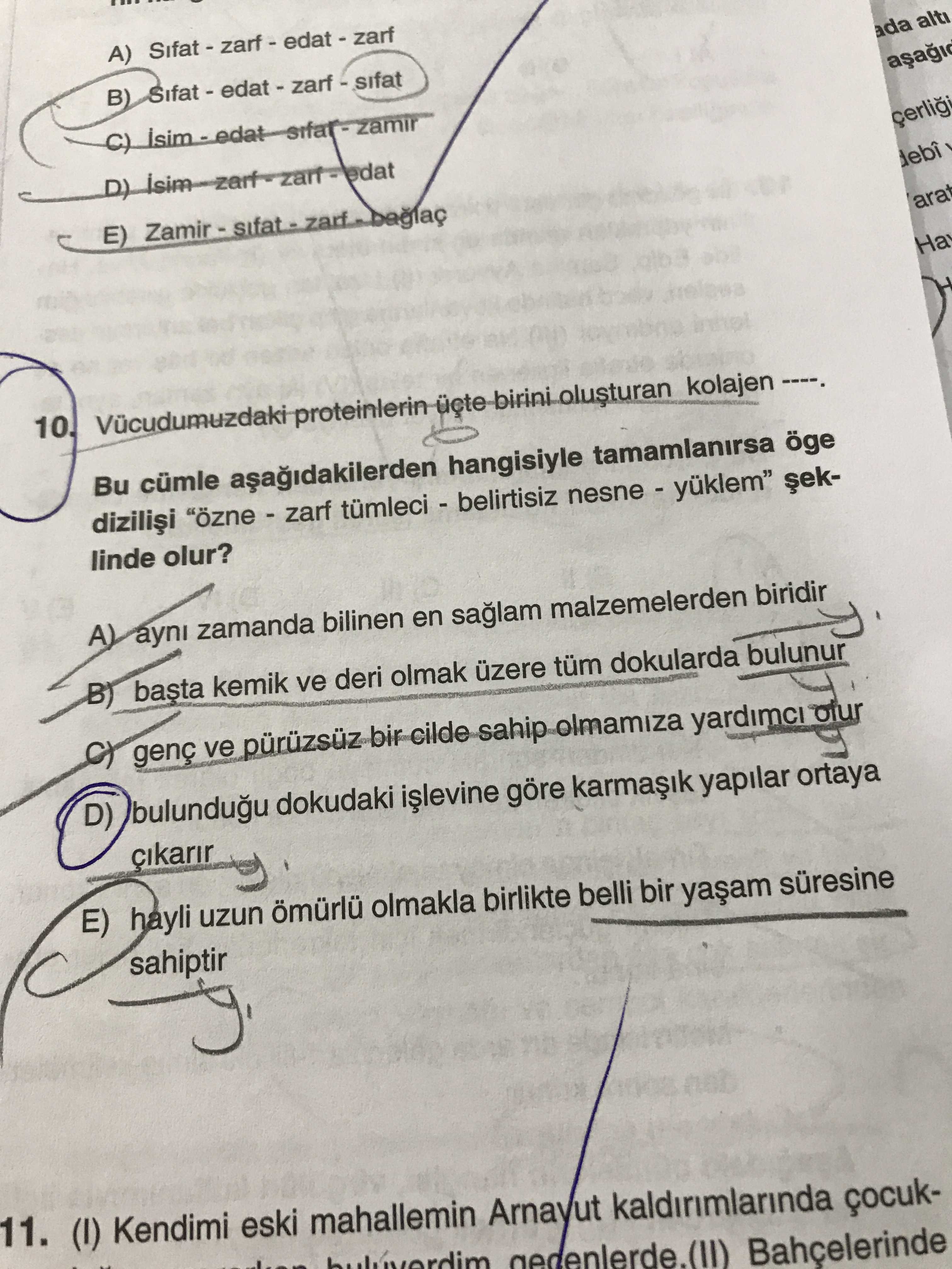 Vücudumuzdaki proteinlerin üçte birini oluşturan kolajen ----. Bu cümle aşağıdakilerden hangisiyle