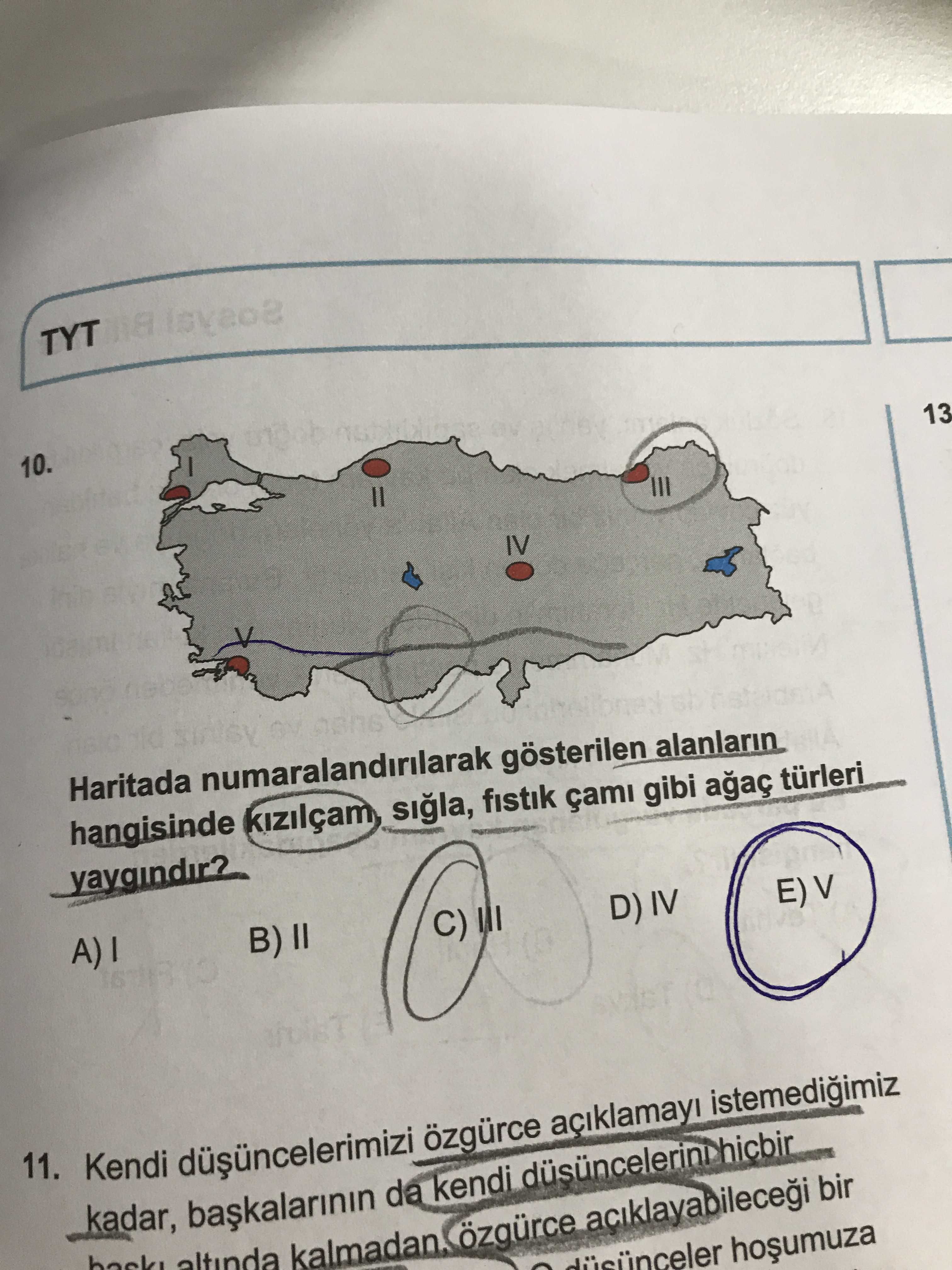 Haritada numaralandırılarak gösterilen alanların hangisinde kızılçam, sığla, fıstık çamı gibi ağaç