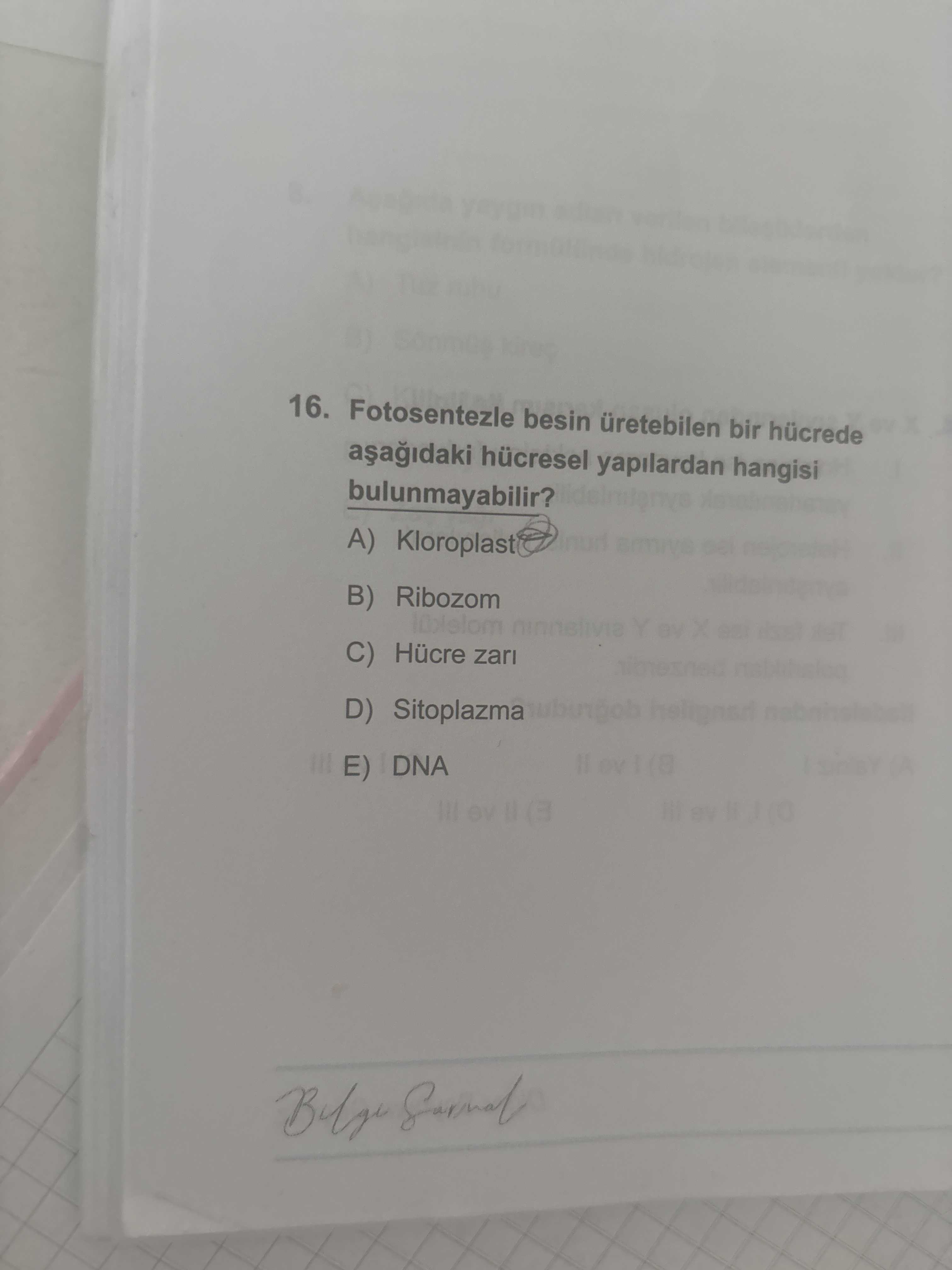 Fotosentezle besin üretebilen bir hücrede aşağıdaki hücresel yapılardan hangisi bulunmayabilir?