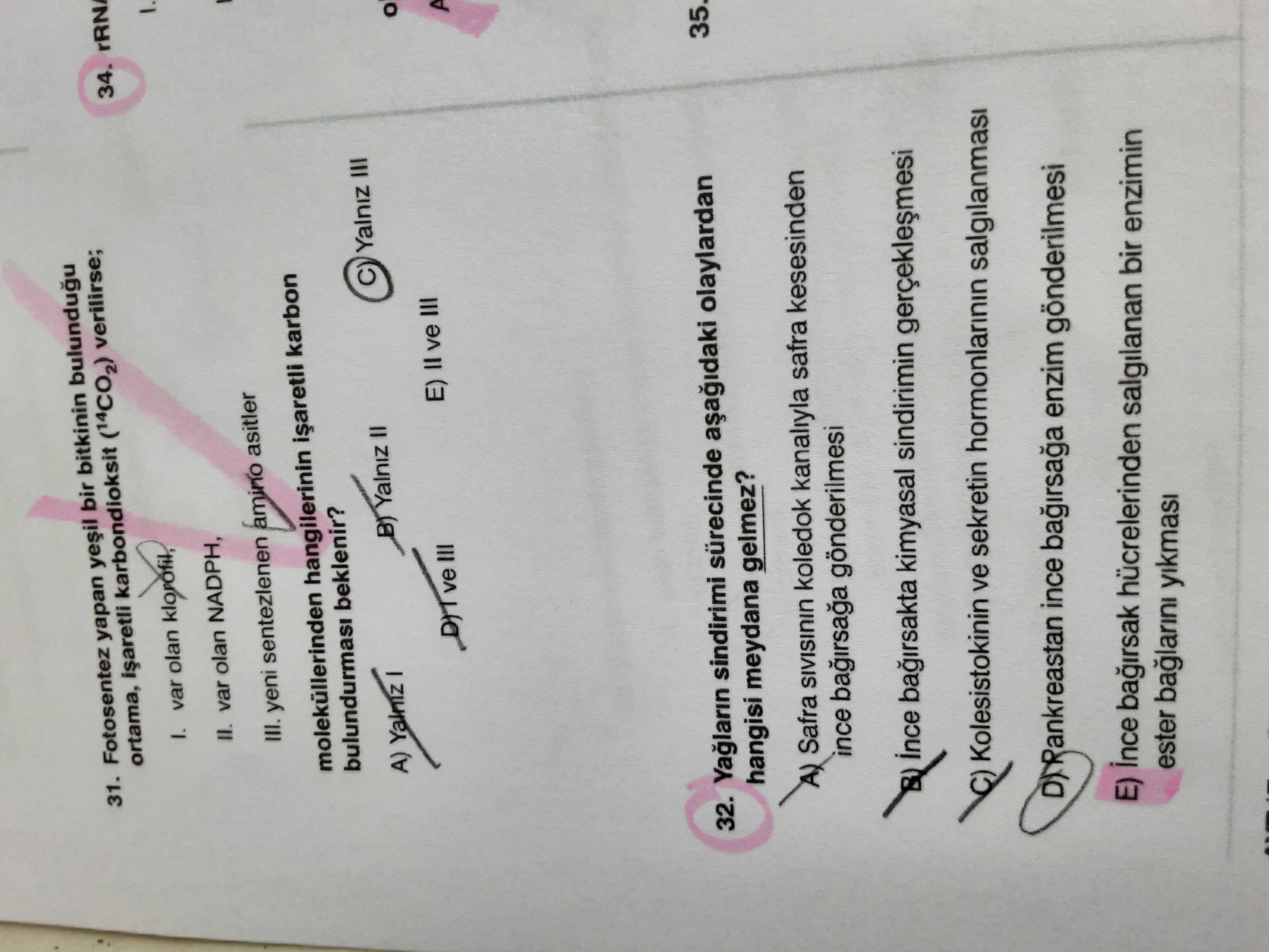 Fotosentez yapan yeşil bir bitkinin bulunduğu ortama, işaretli karbondioksit (¹⁴CO₂) verilirse; I